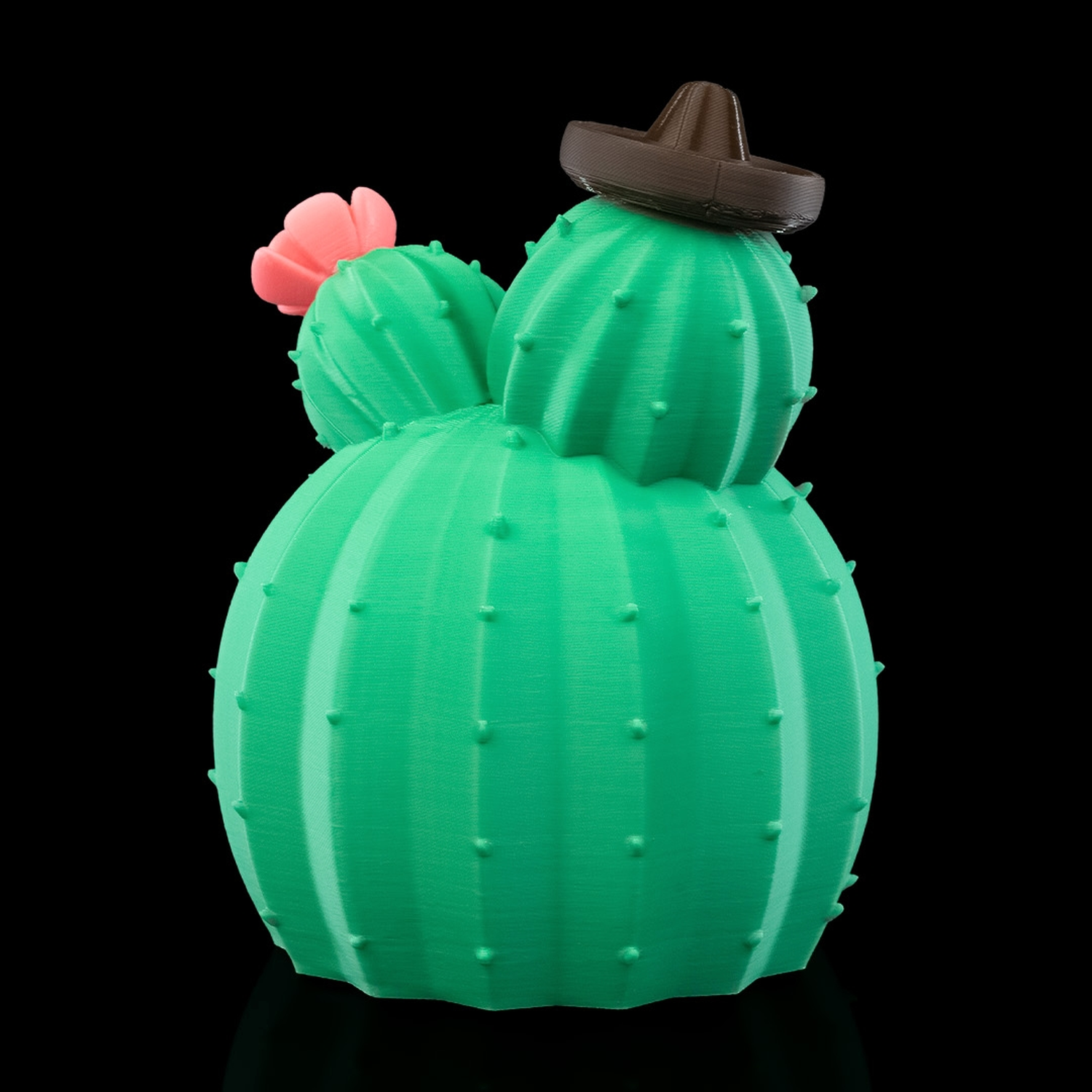 Cactus House