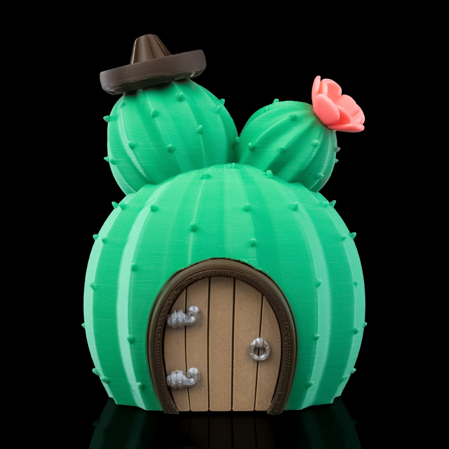 Cactus House