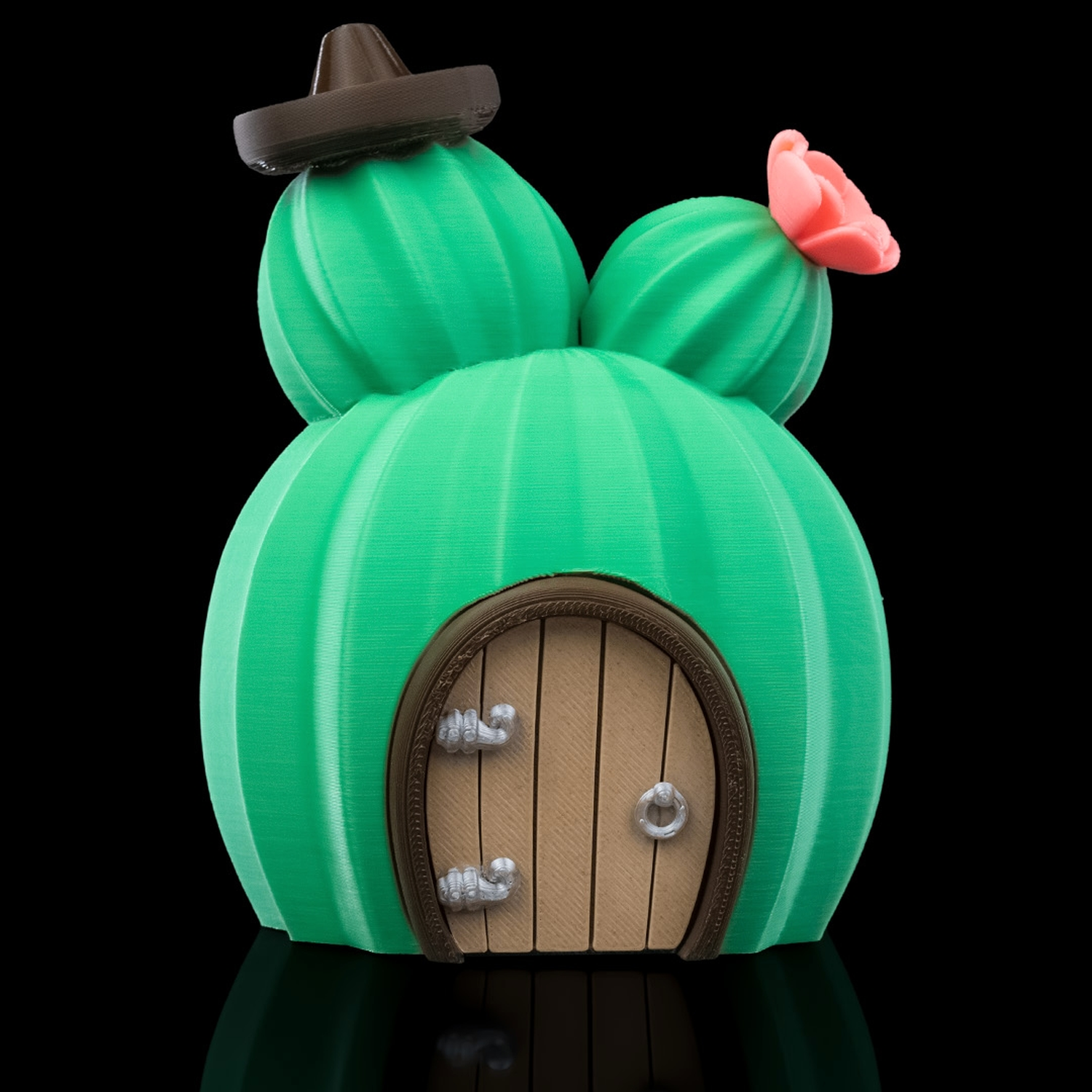 Cactus House