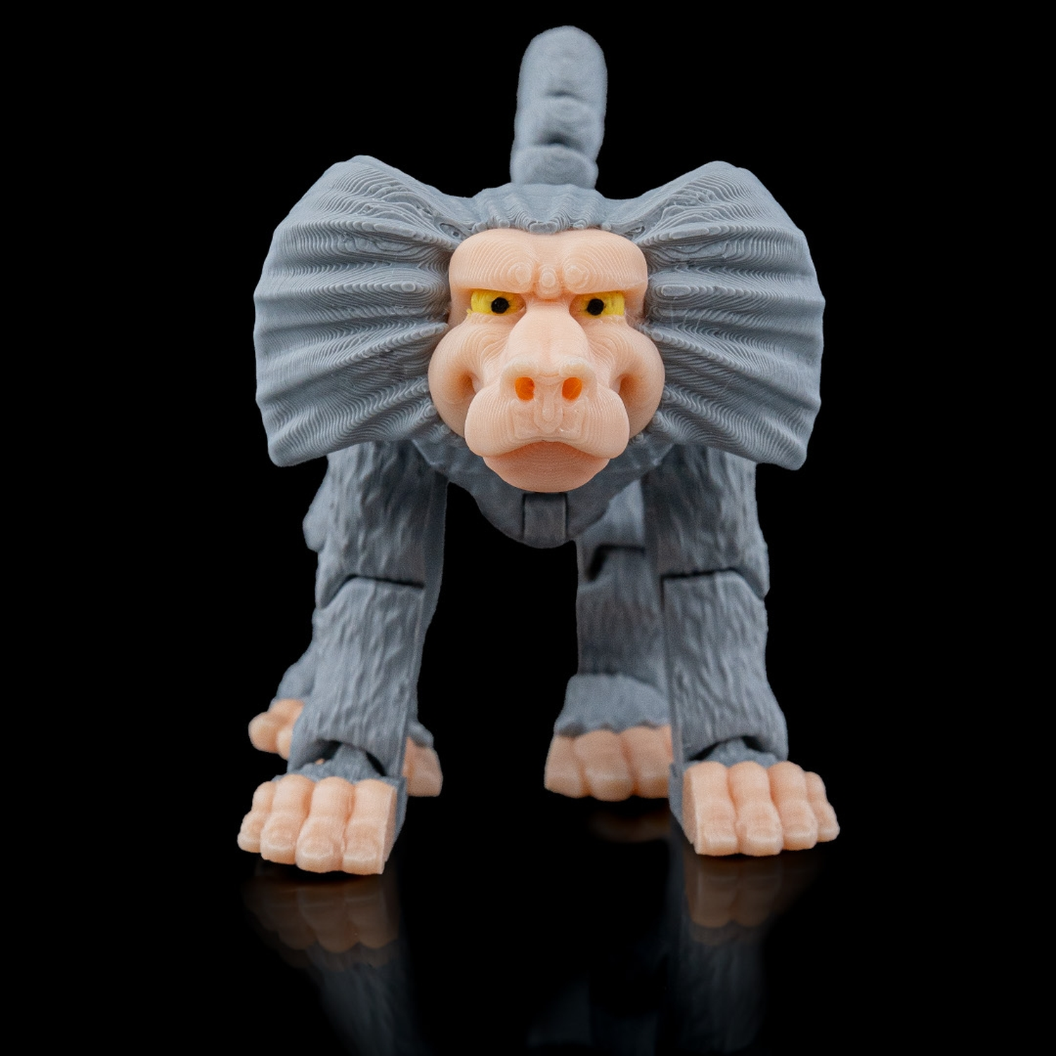 Cheeky Baboon