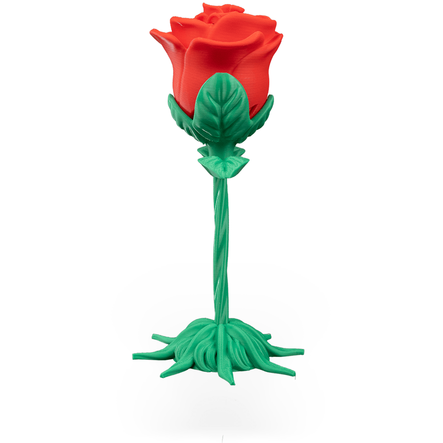 Endless Bloom