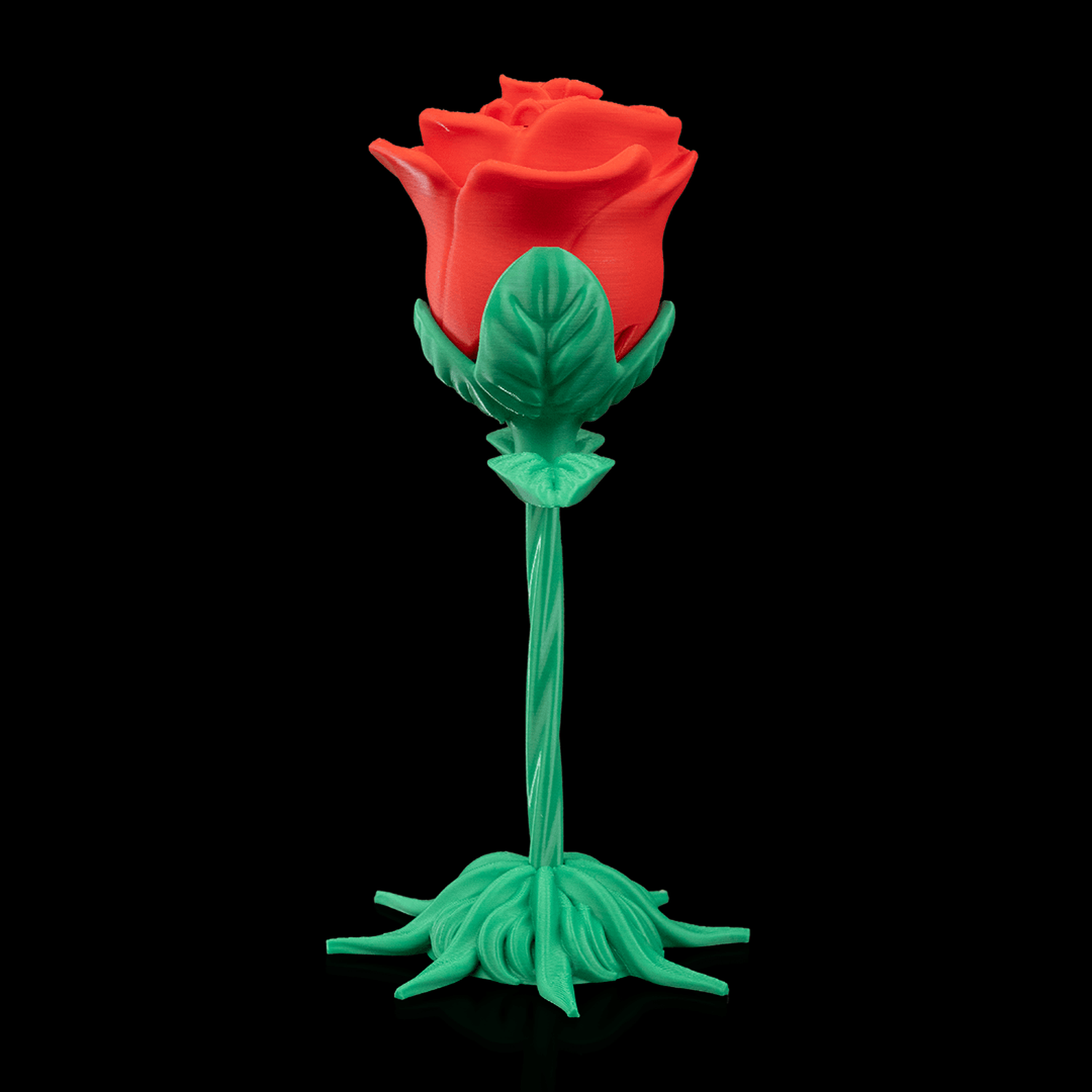 Endless Bloom