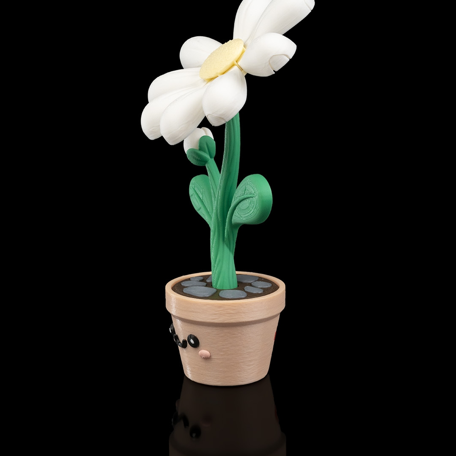Petal Whisper - Custom Container