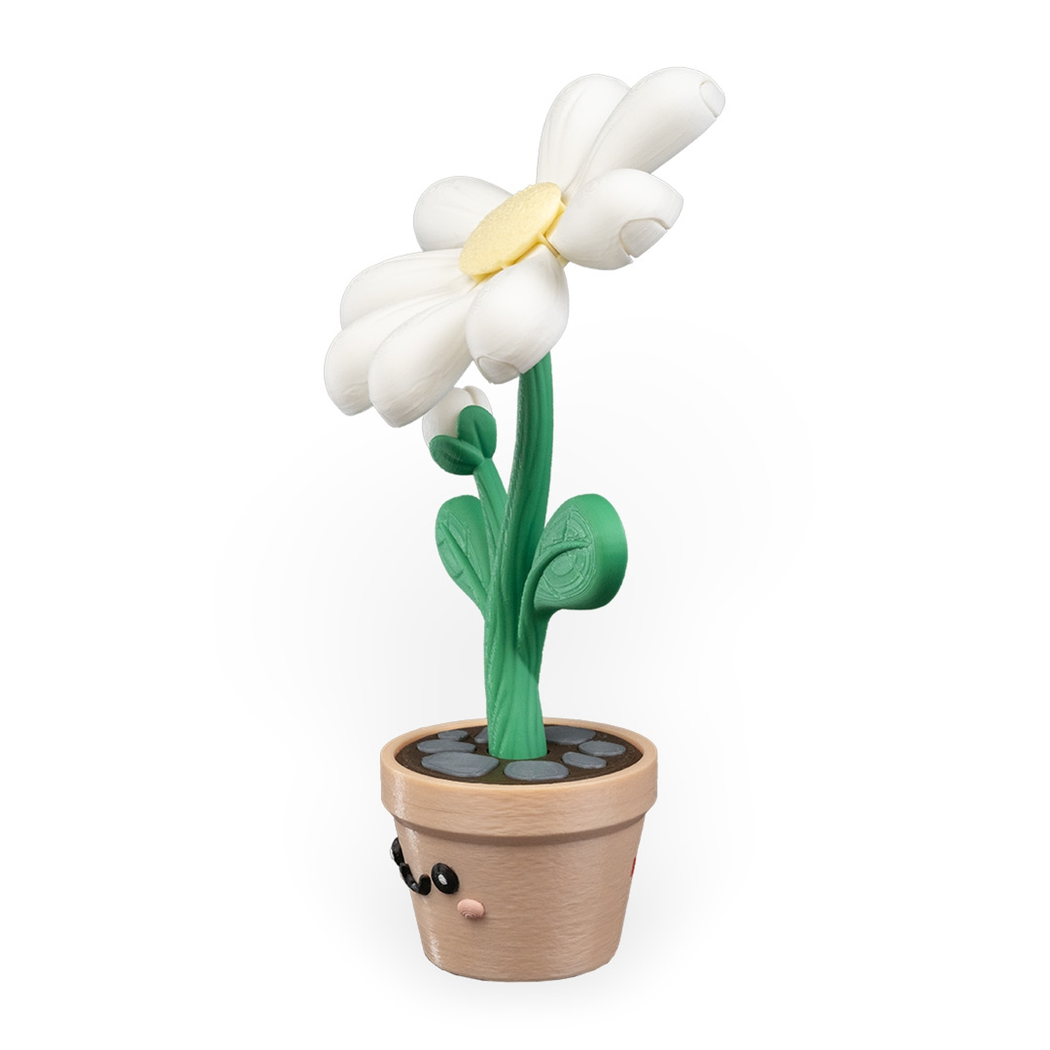 Petal Whisper - Custom Container