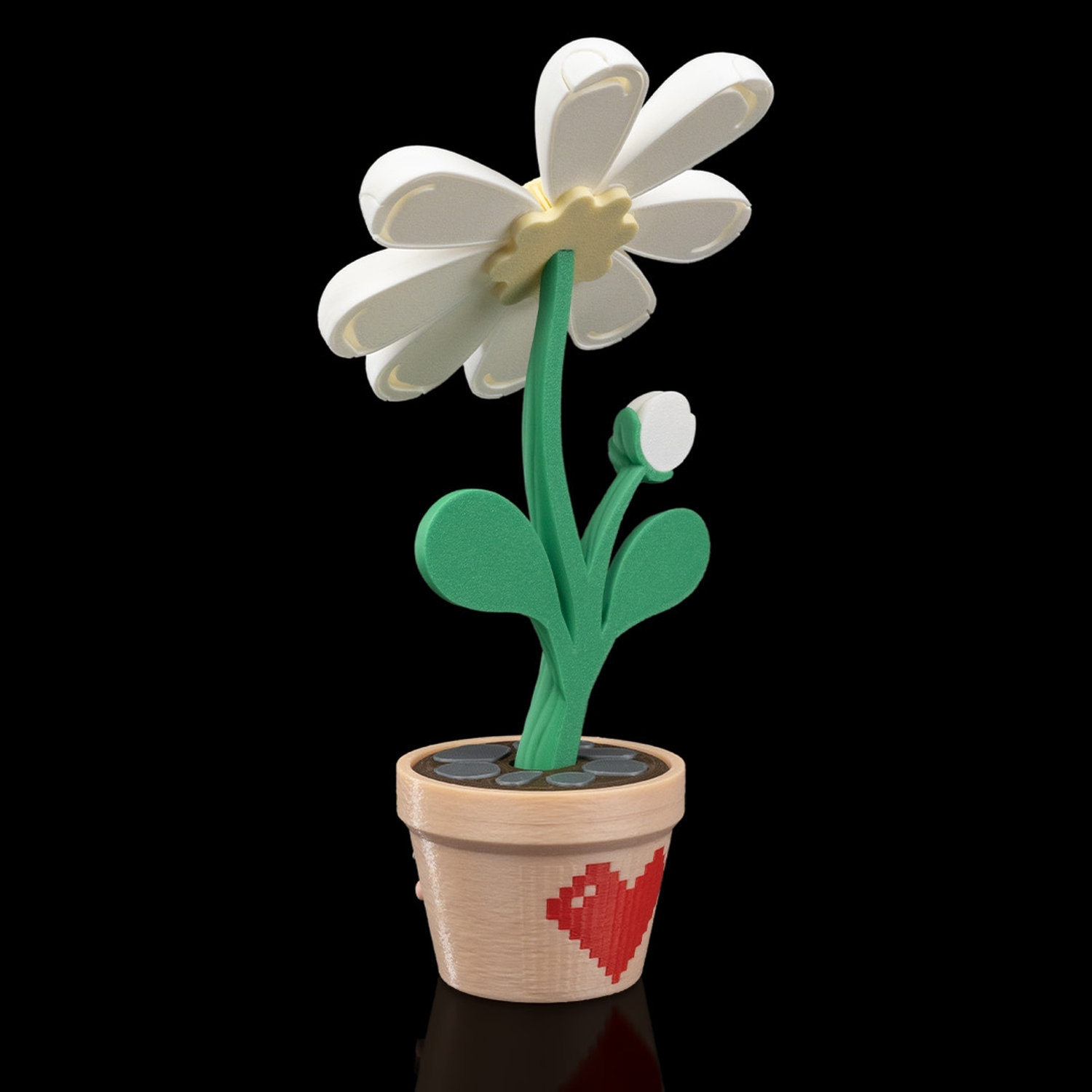 Petal Whisper - Custom Container