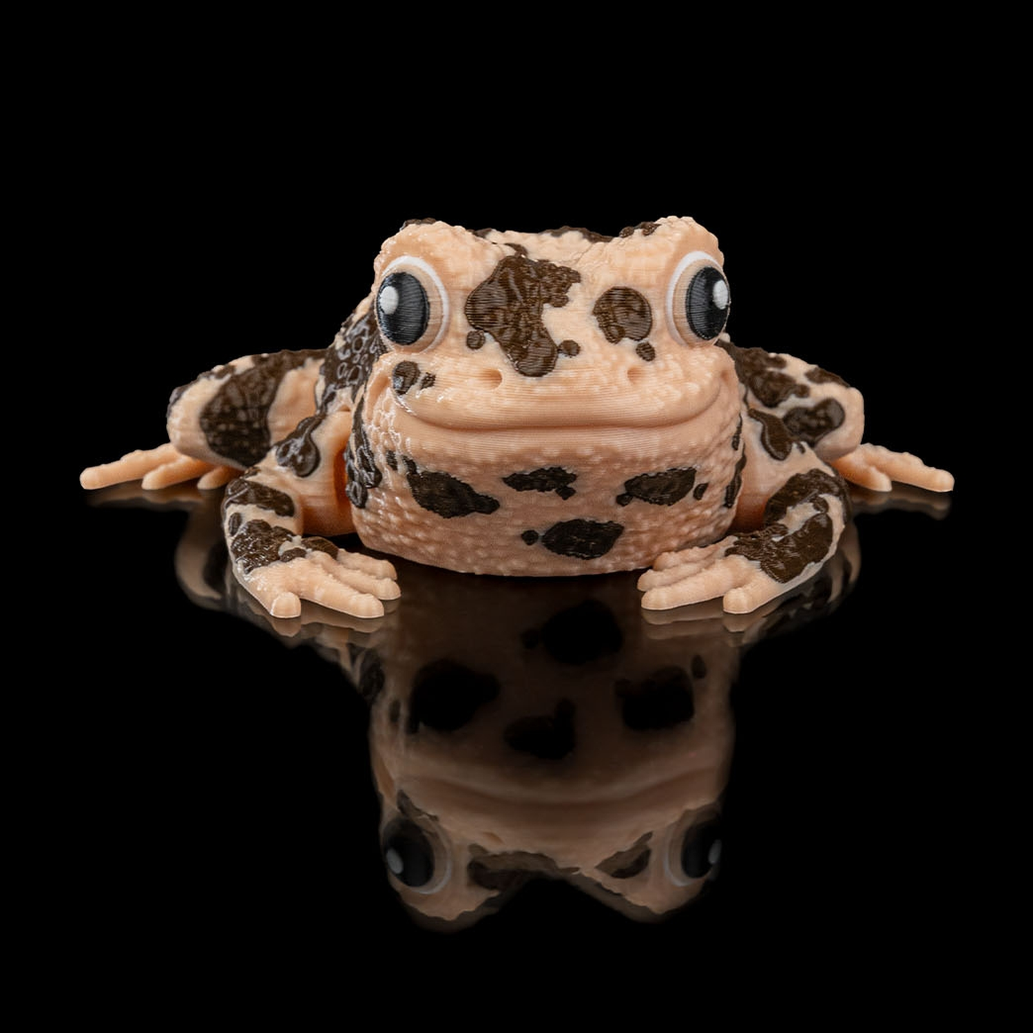 Grace, the American Ground Frog