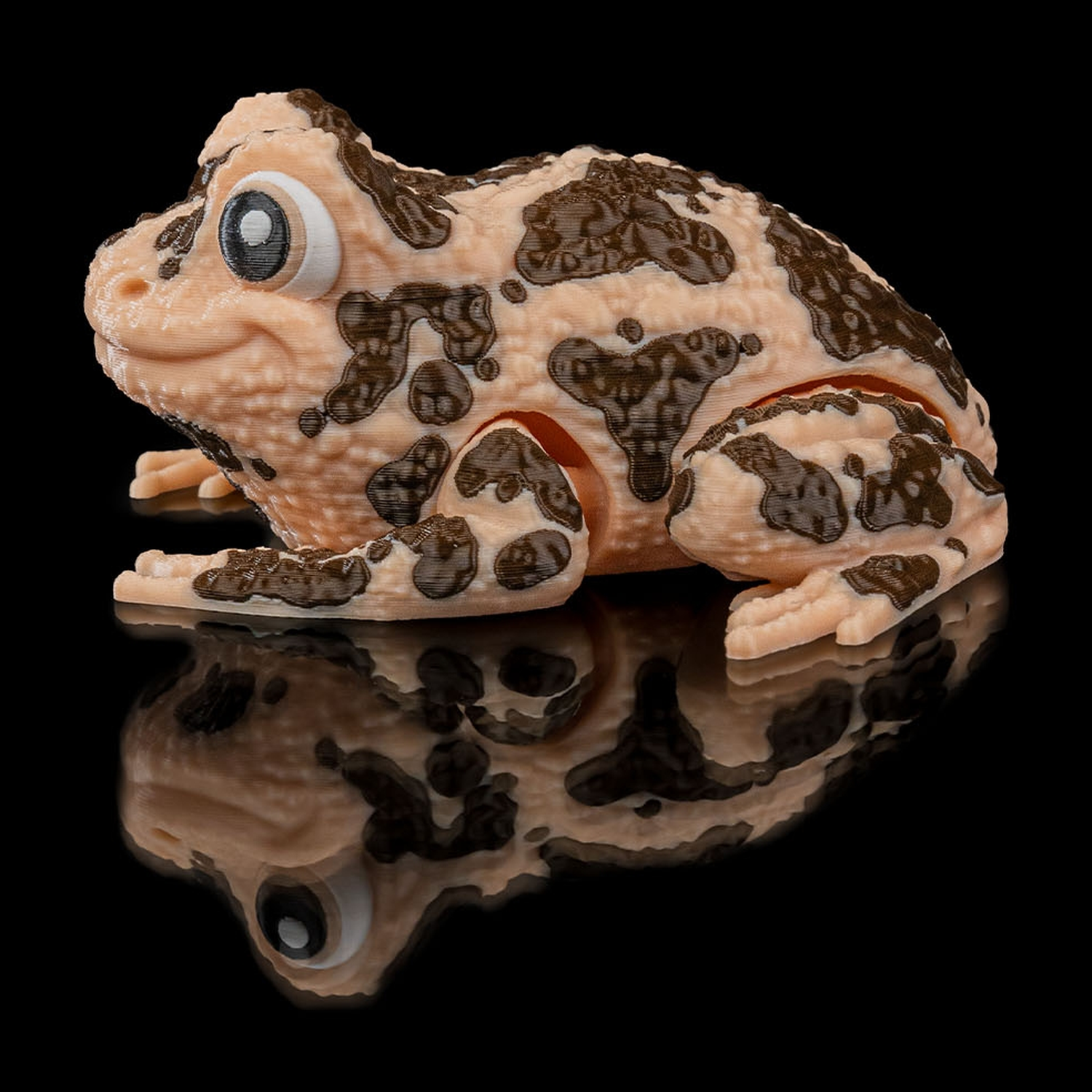Grace, the American Ground Frog