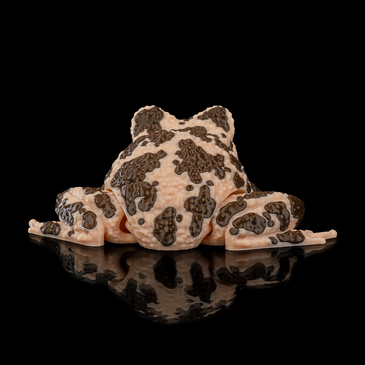 Grace, the American Ground Frog