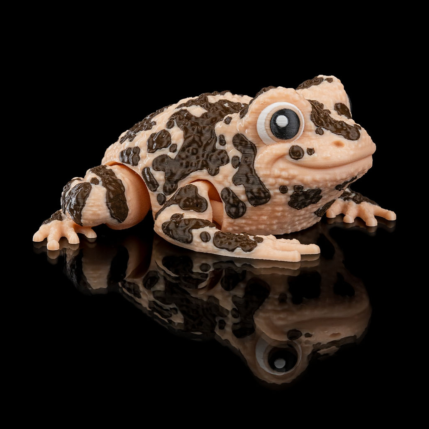 Grace, the American Ground Frog