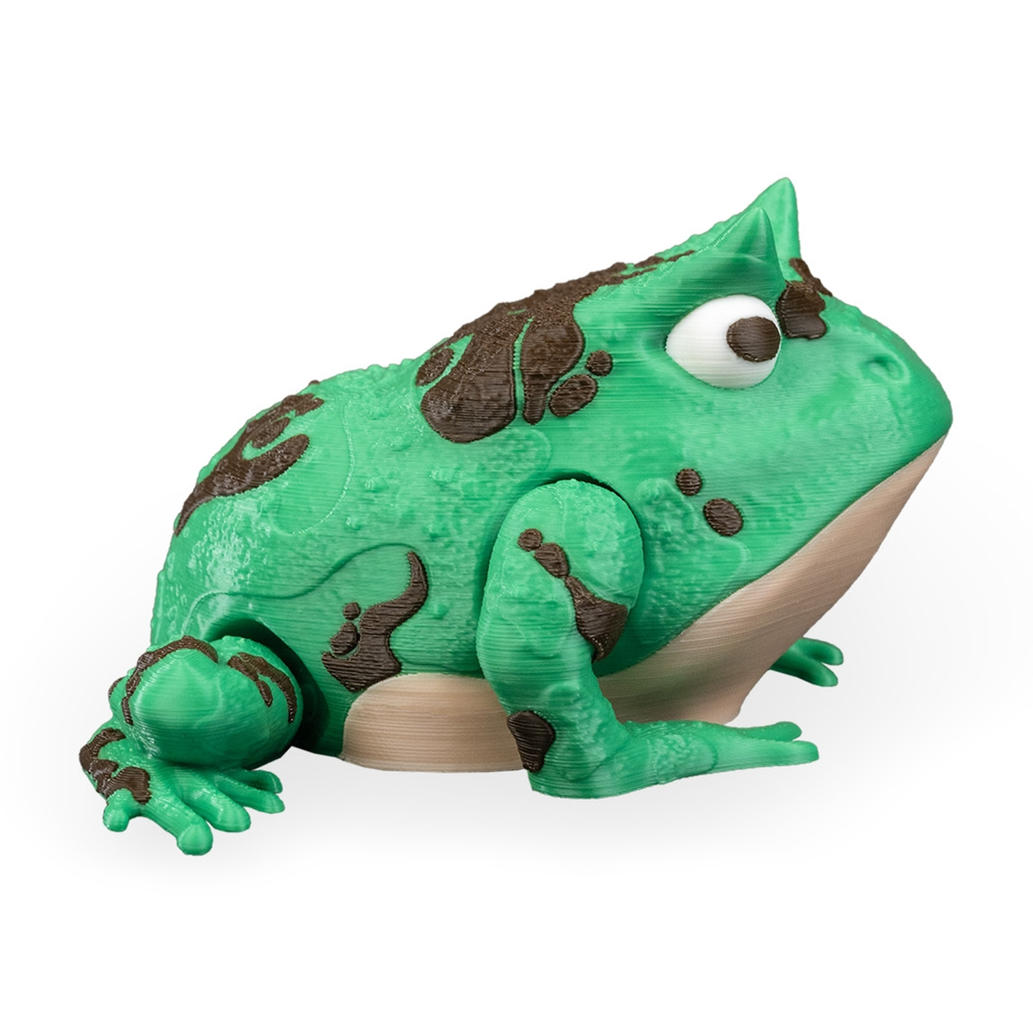 Harold, the Horned Frog
