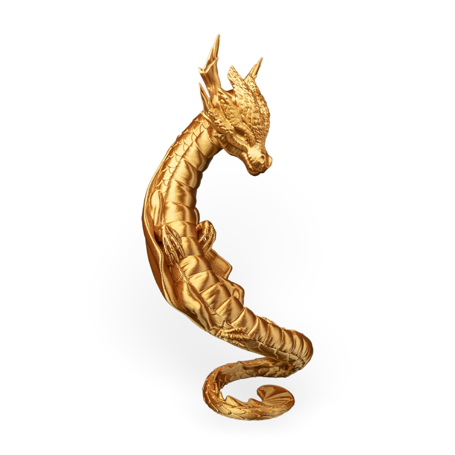 Draconic Bond