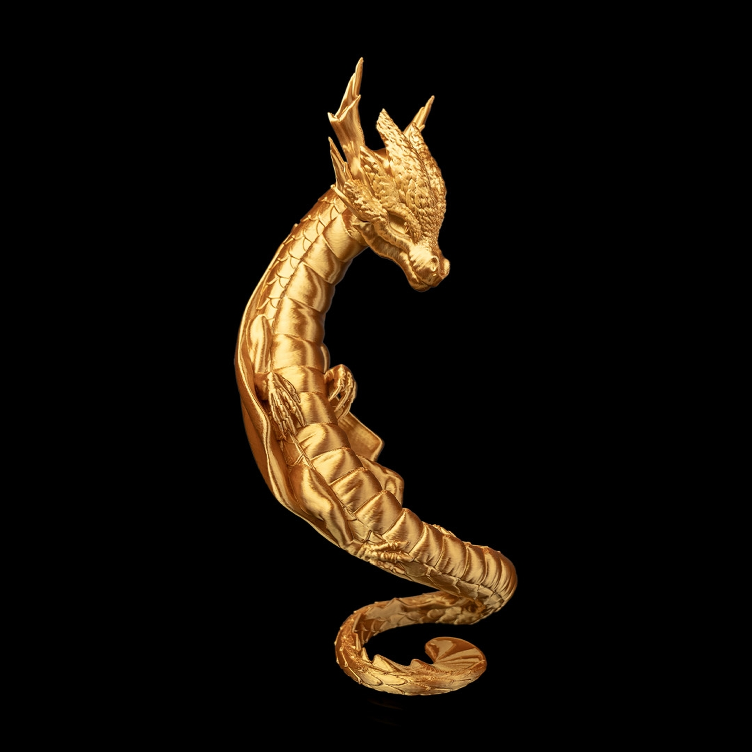 Draconic Bond