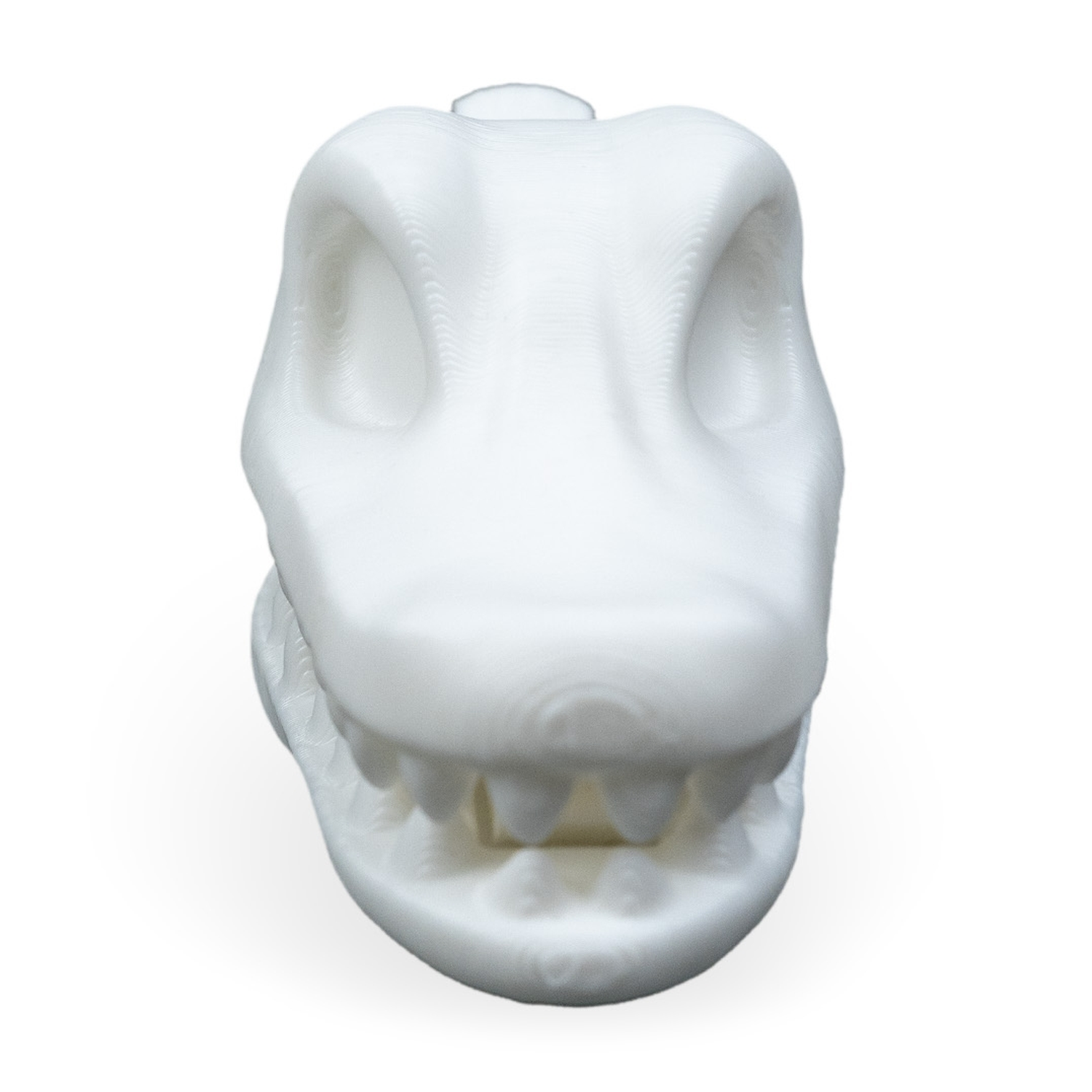 Gator Skull Bag Clip