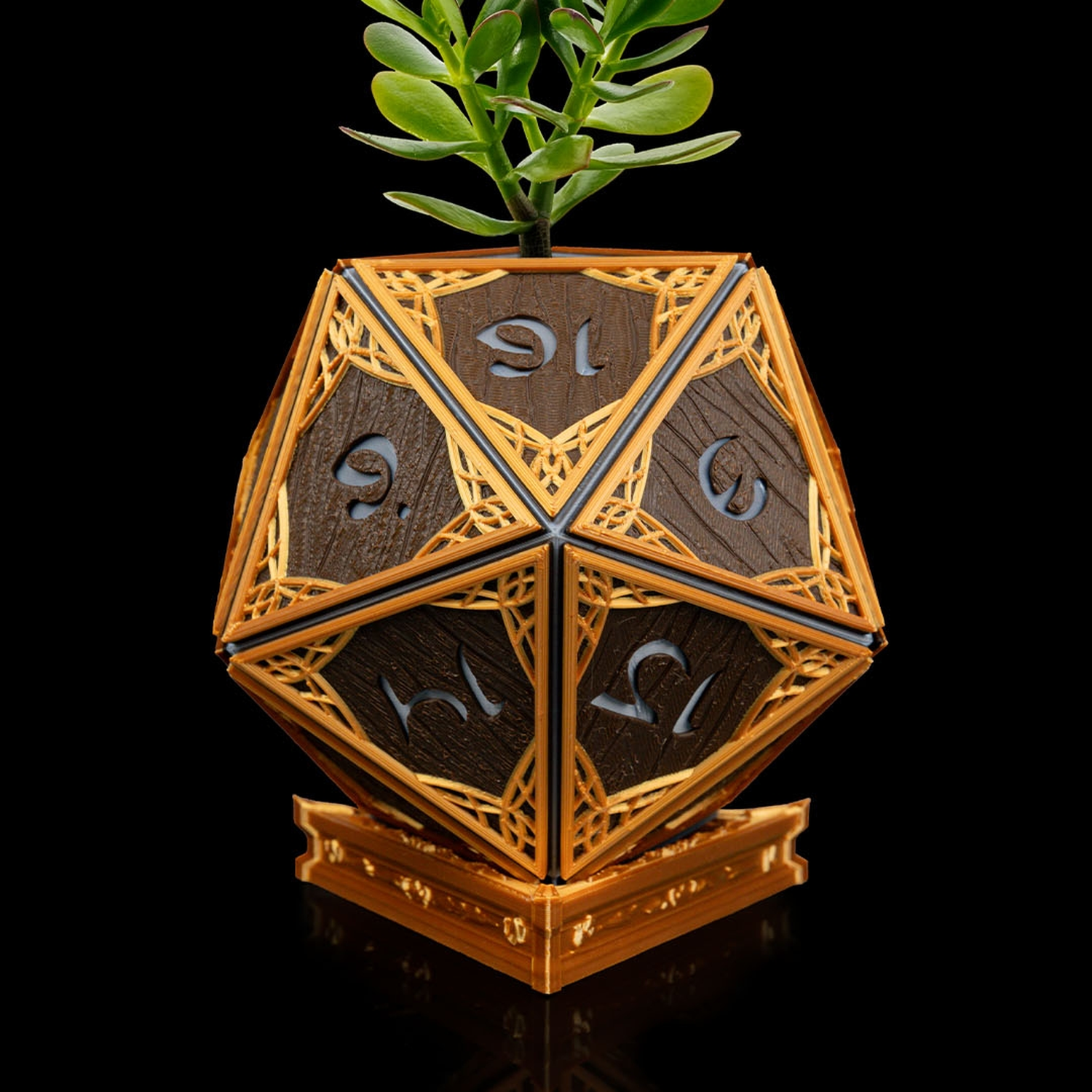 Elven D20