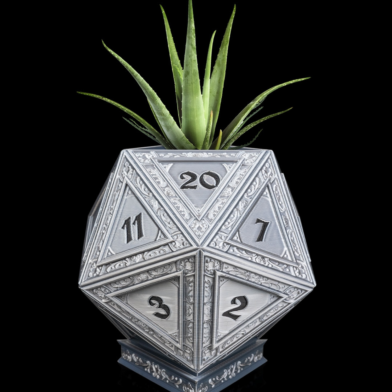 Champion's D20