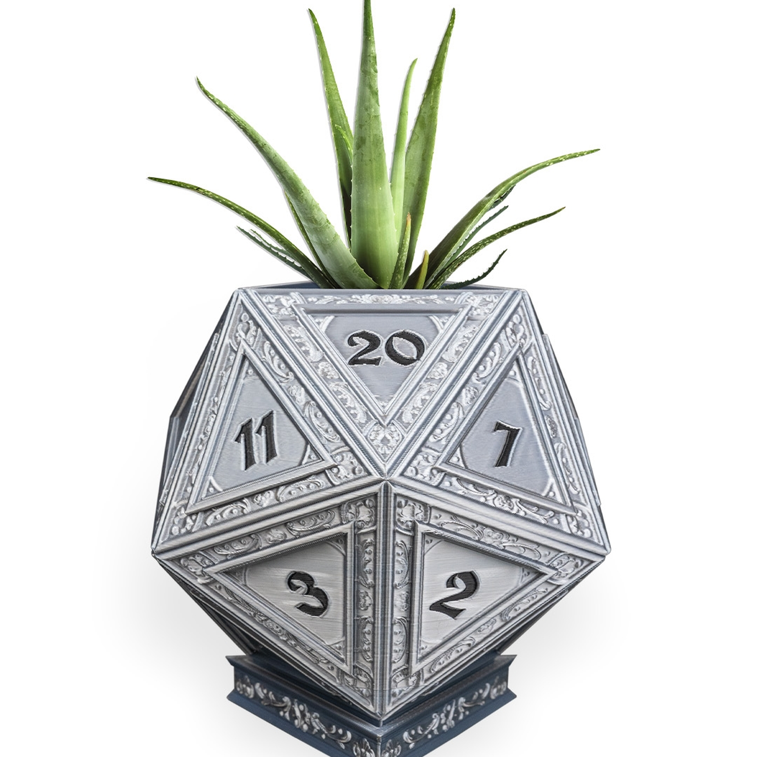 Champion's D20