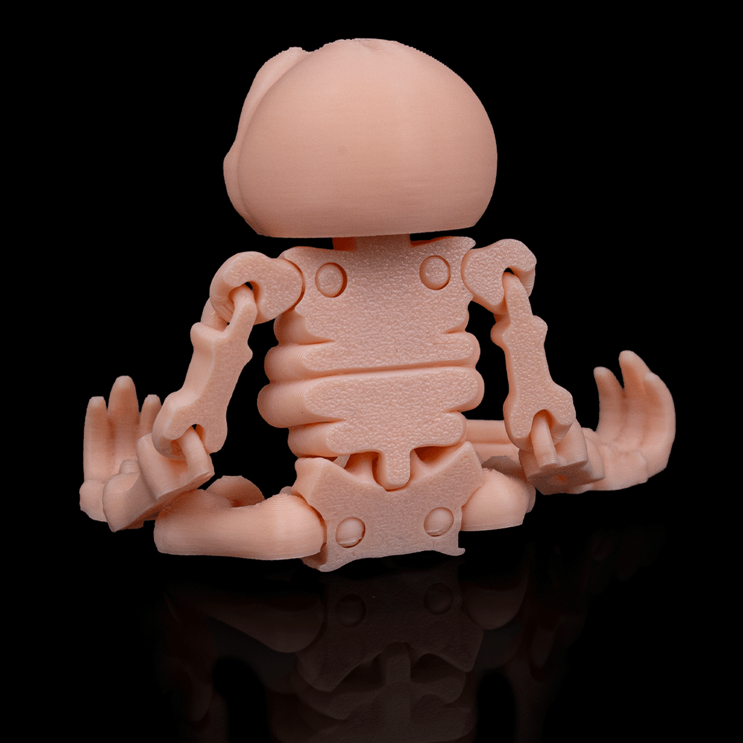 Skeleton Sloth