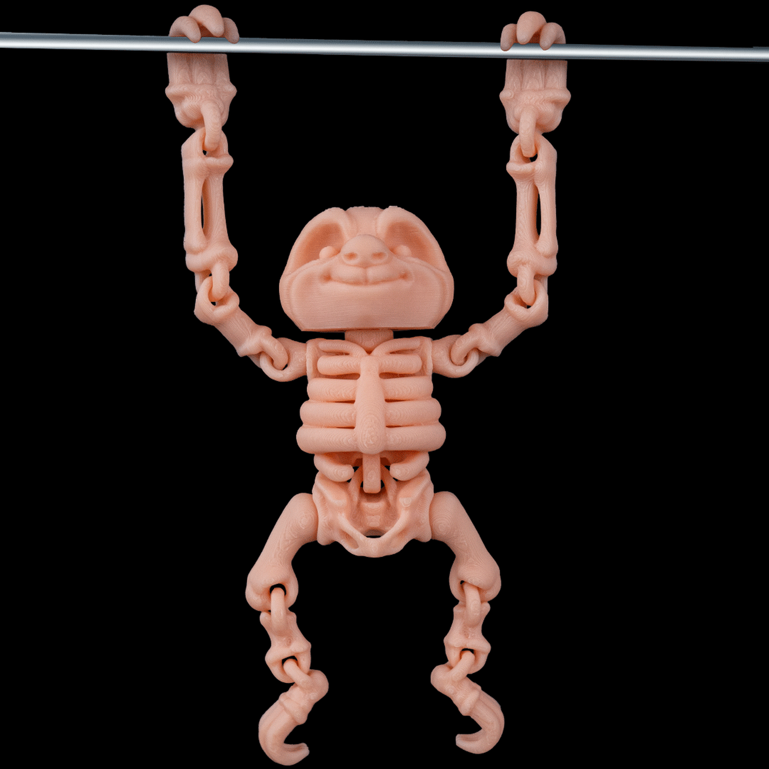 Skeleton Sloth