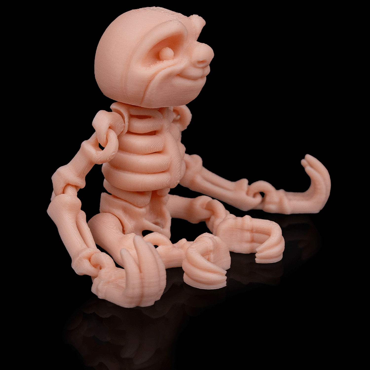 Skeleton Sloth