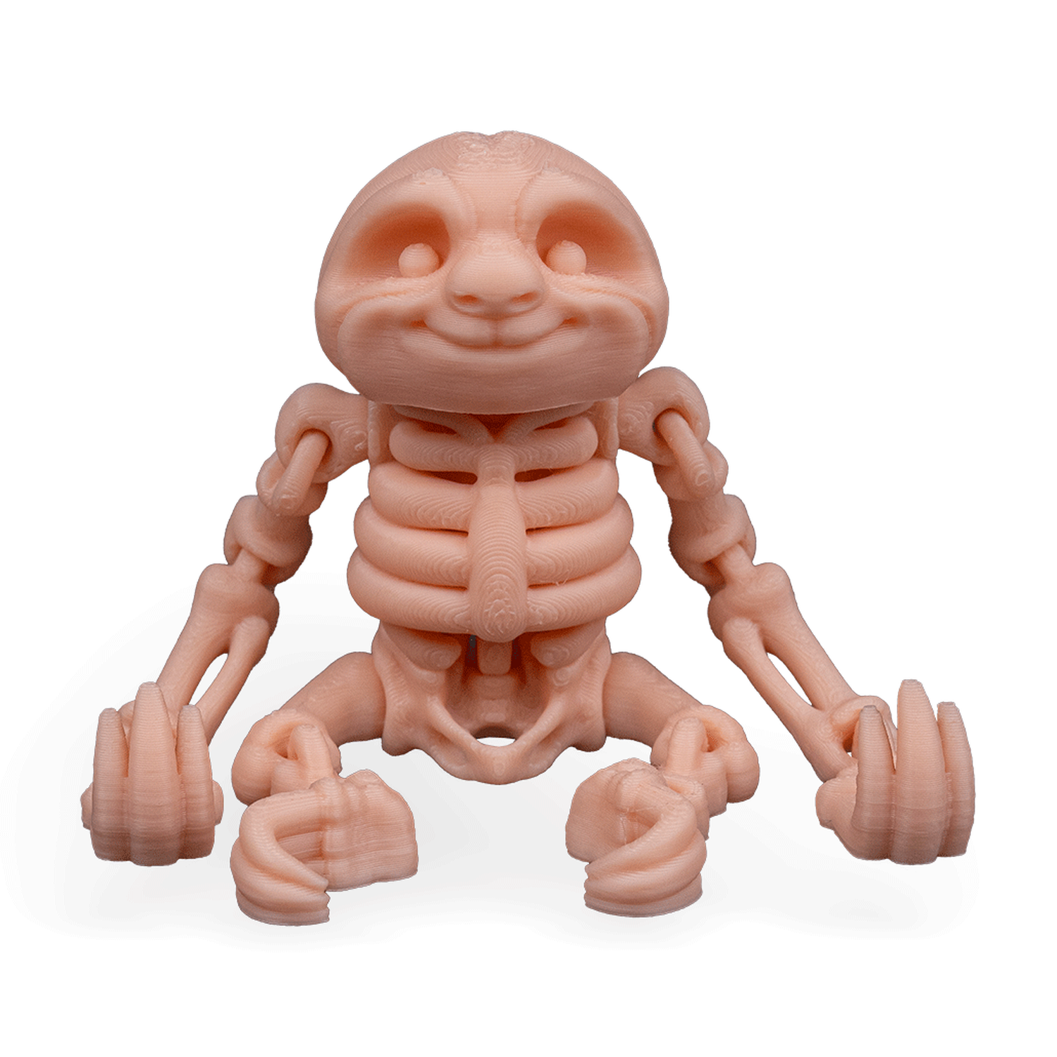 Skeleton Sloth
