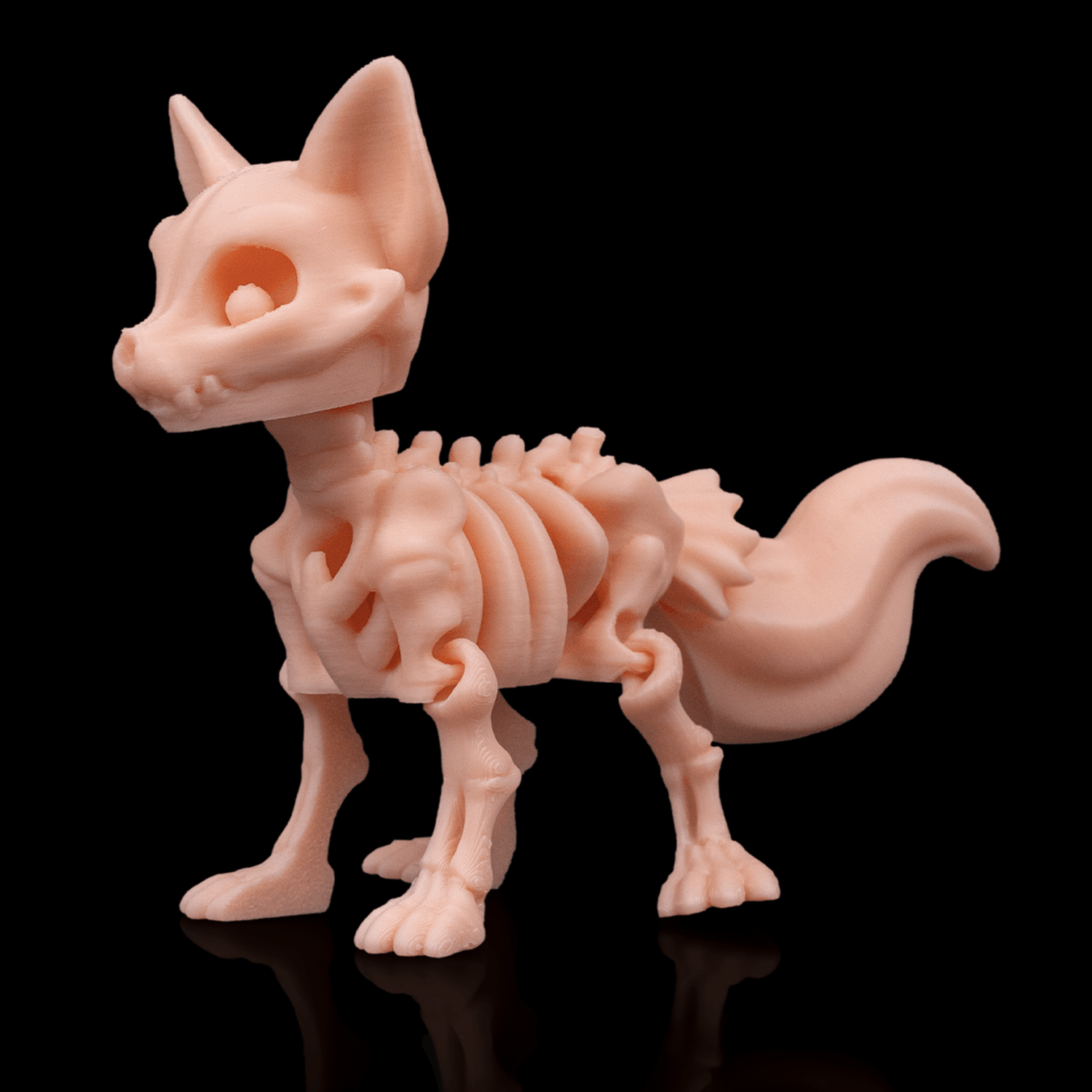 Skeleton Fox