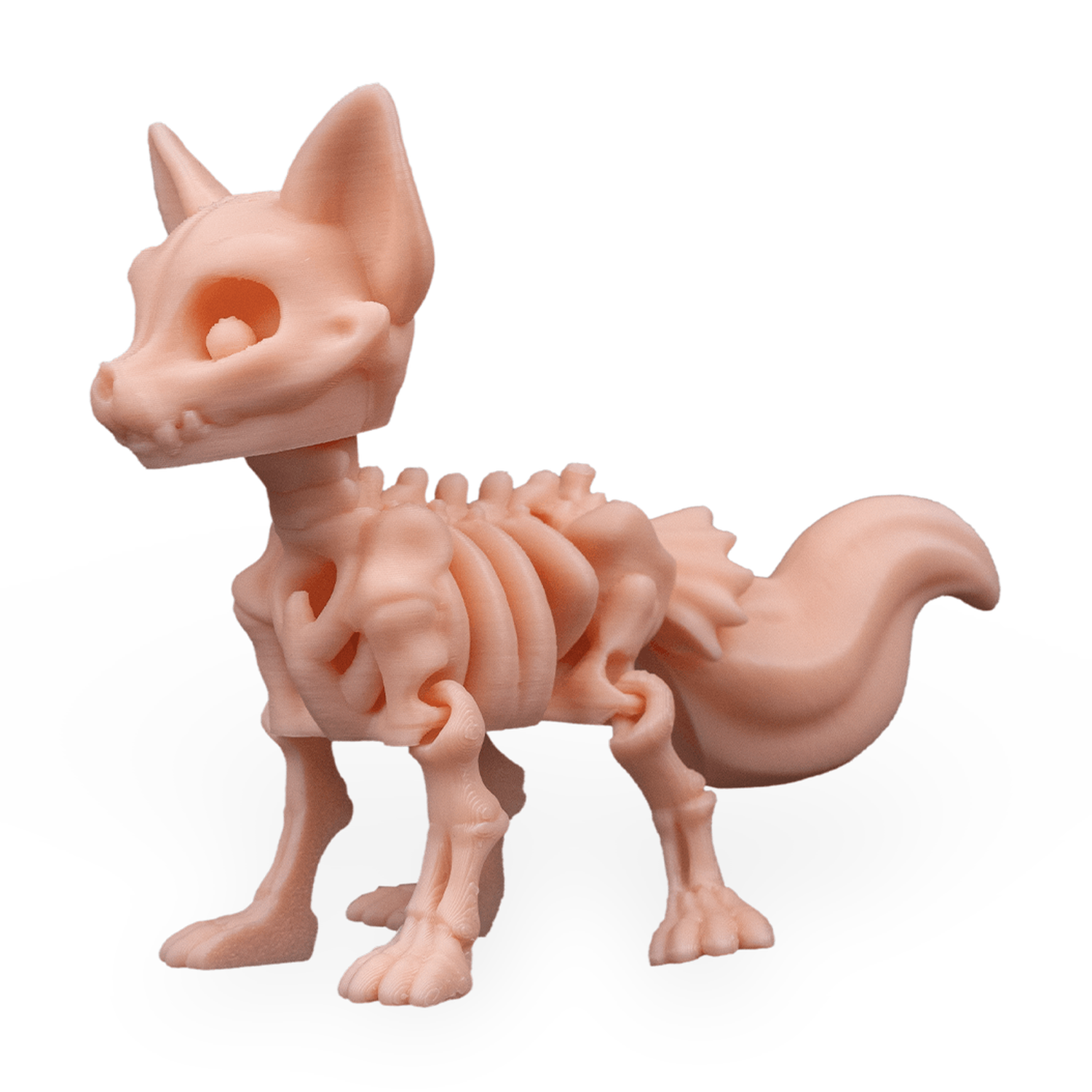 Skeleton Fox