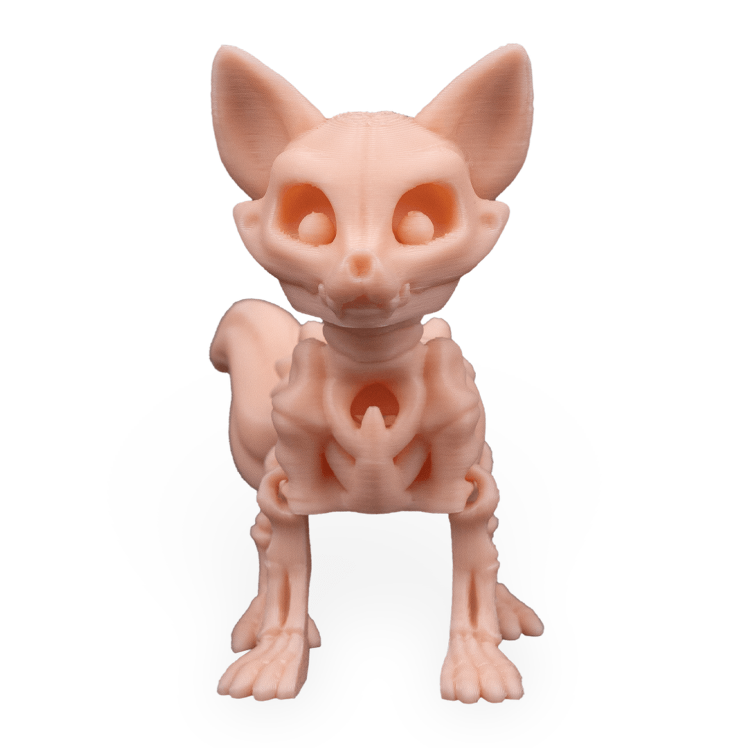 Skeleton Fox