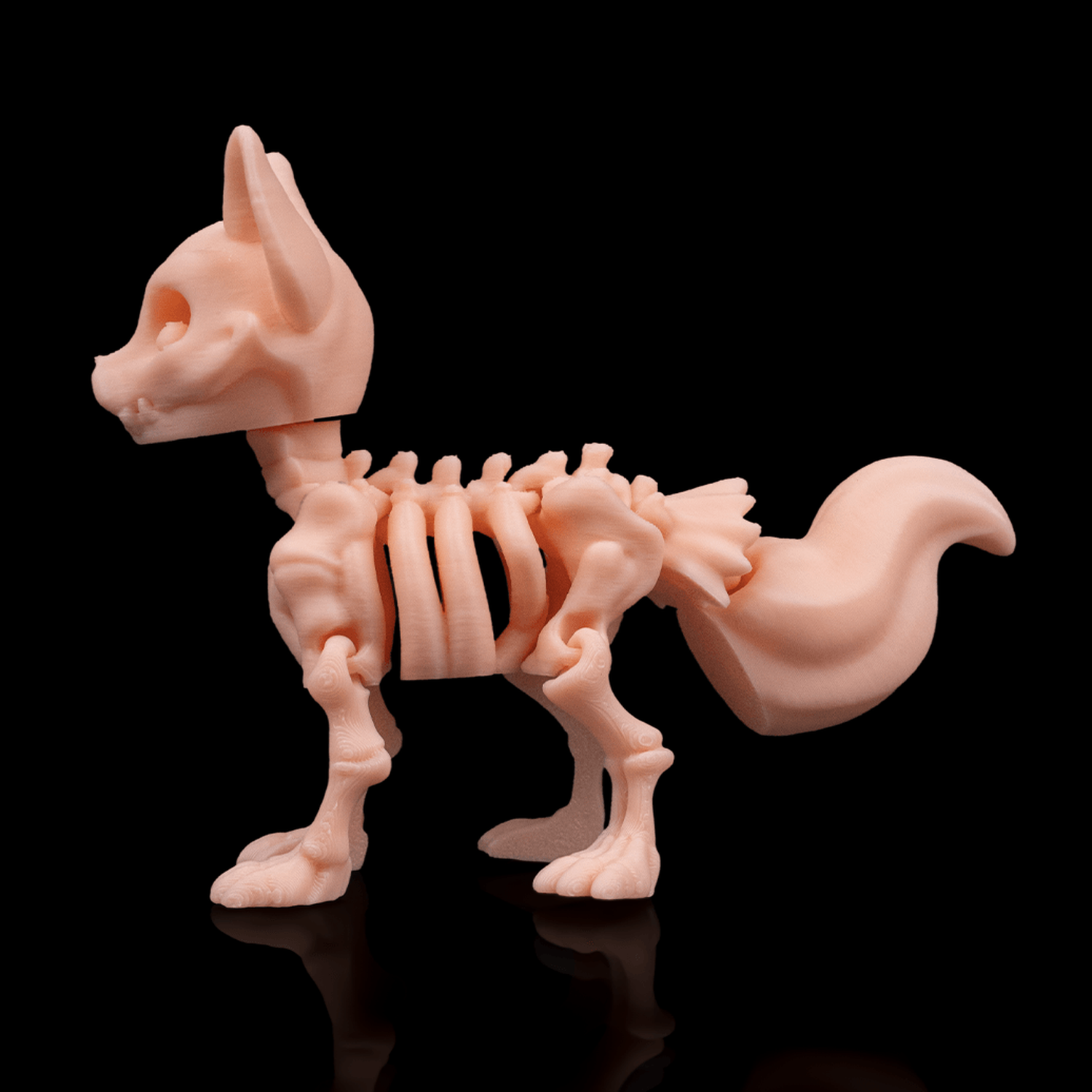 Skeleton Fox