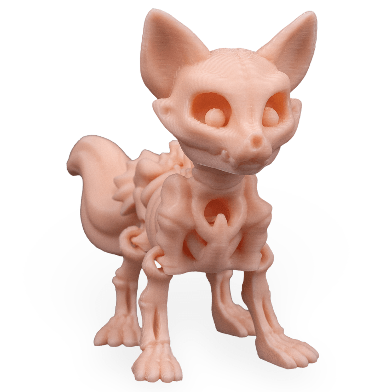 Skeleton Fox