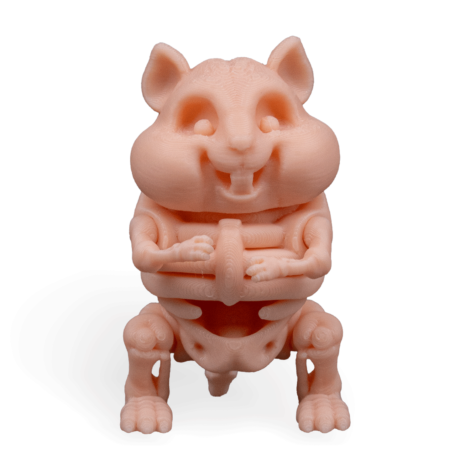 Skeleton Hamster