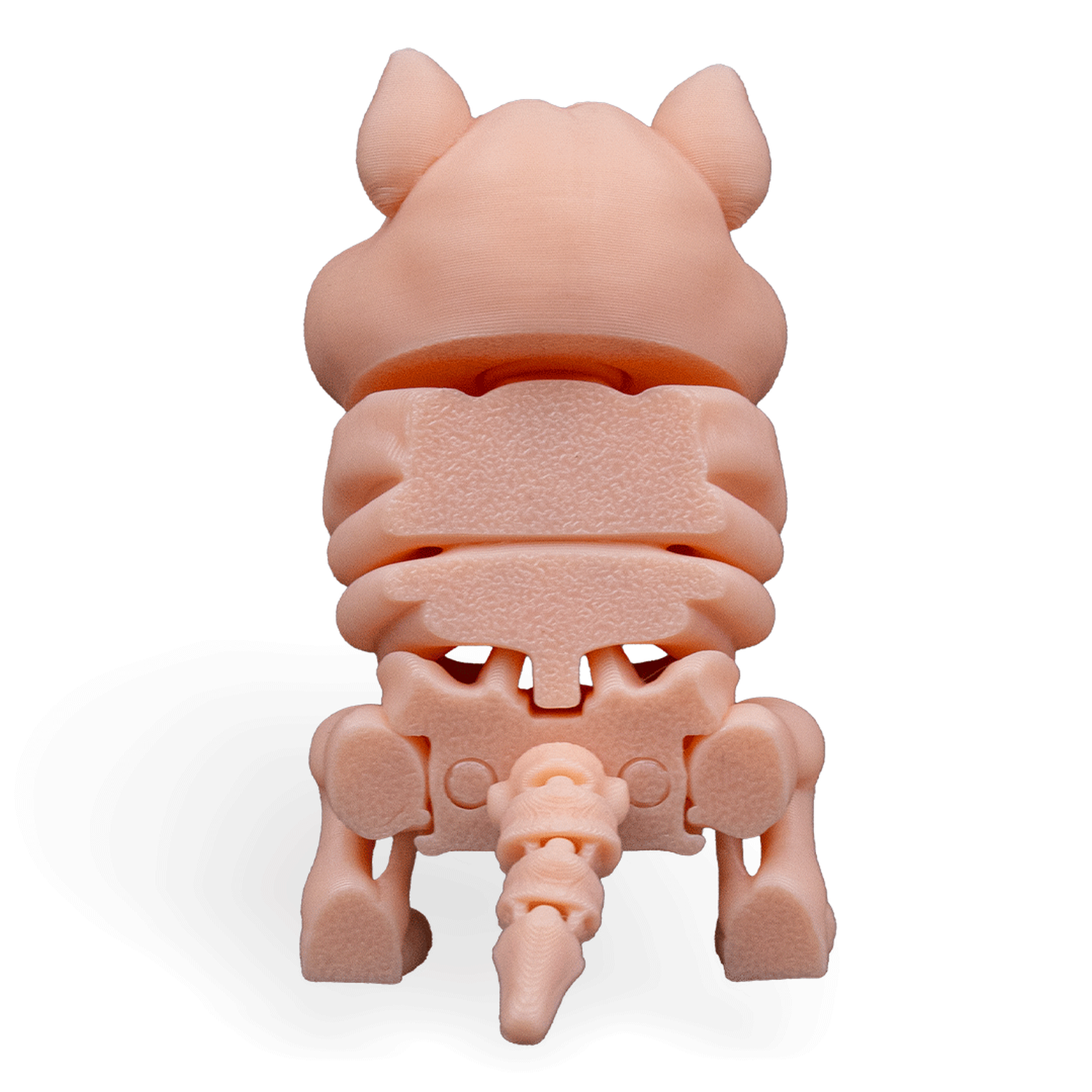 Skeleton Hamster