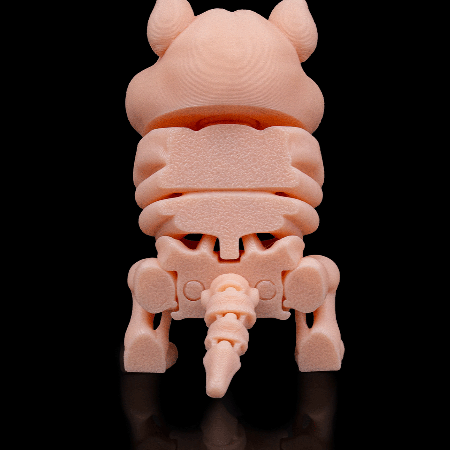Skeleton Hamster