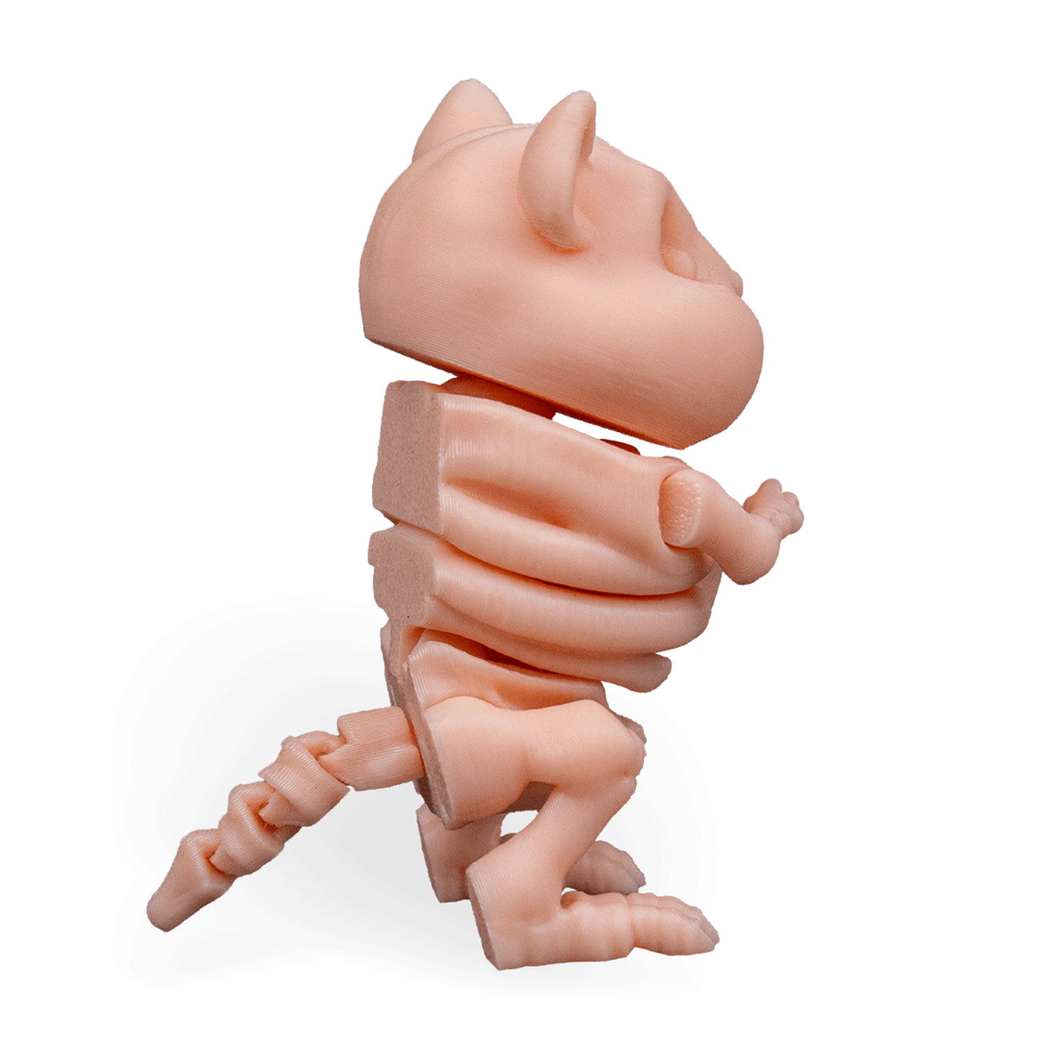 Skeleton Hamster