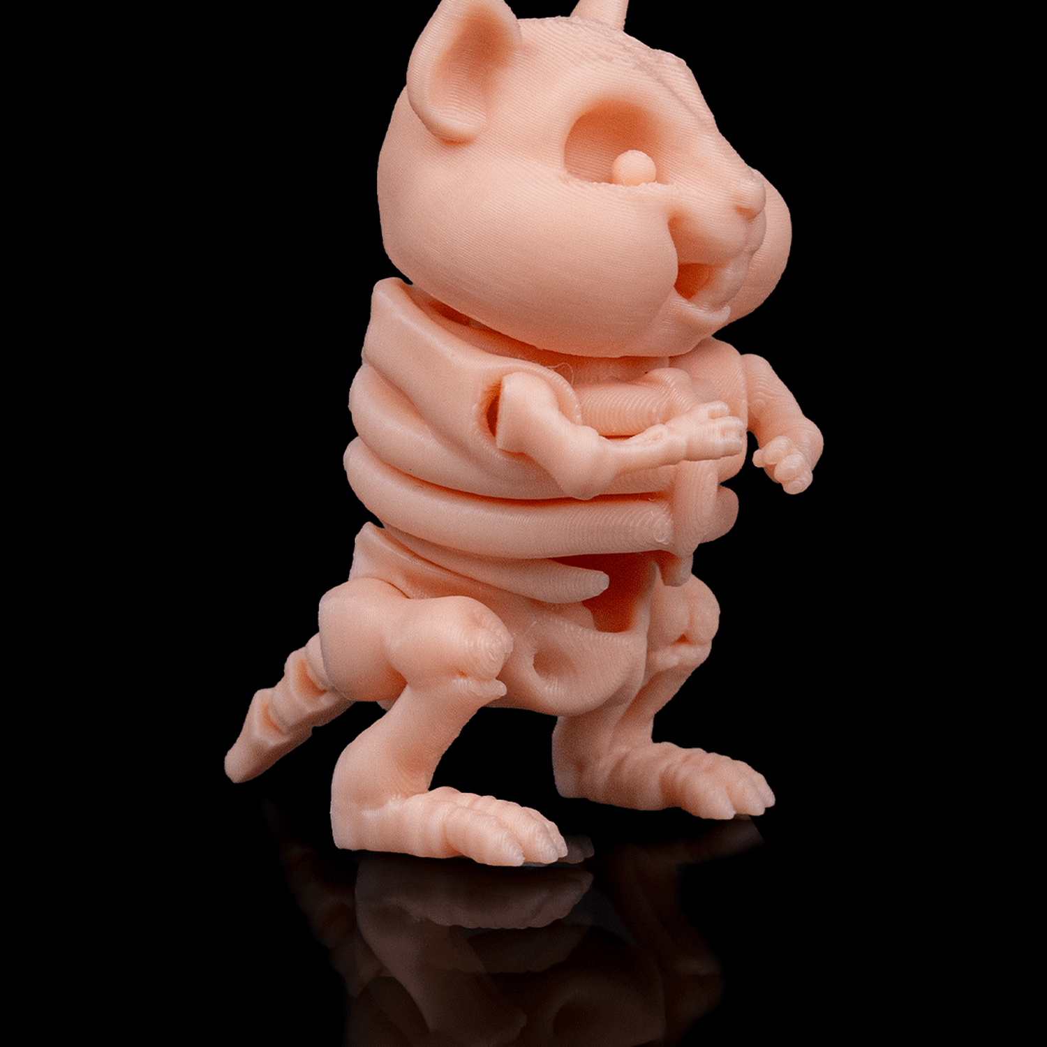 Skeleton Hamster