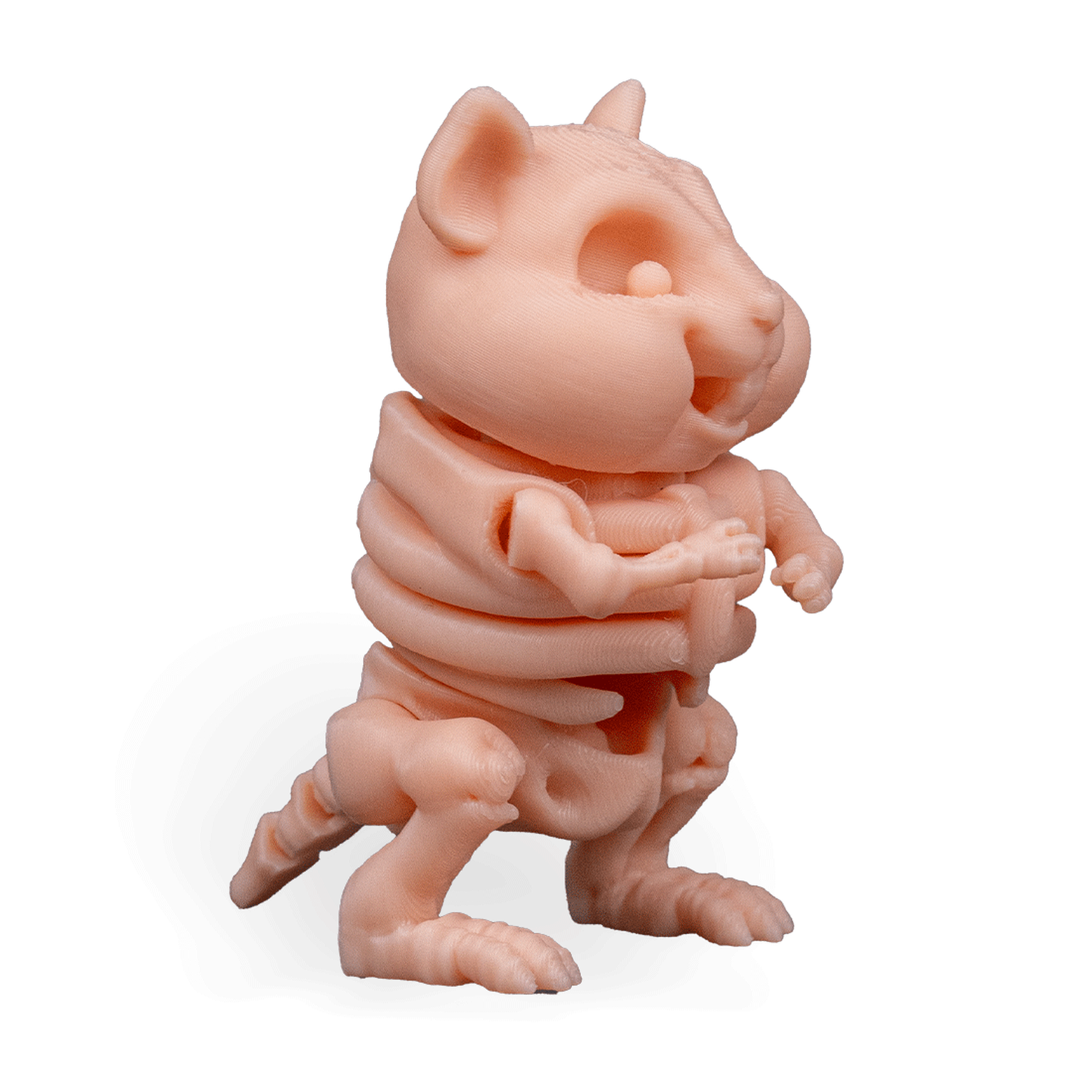 Skeleton Hamster