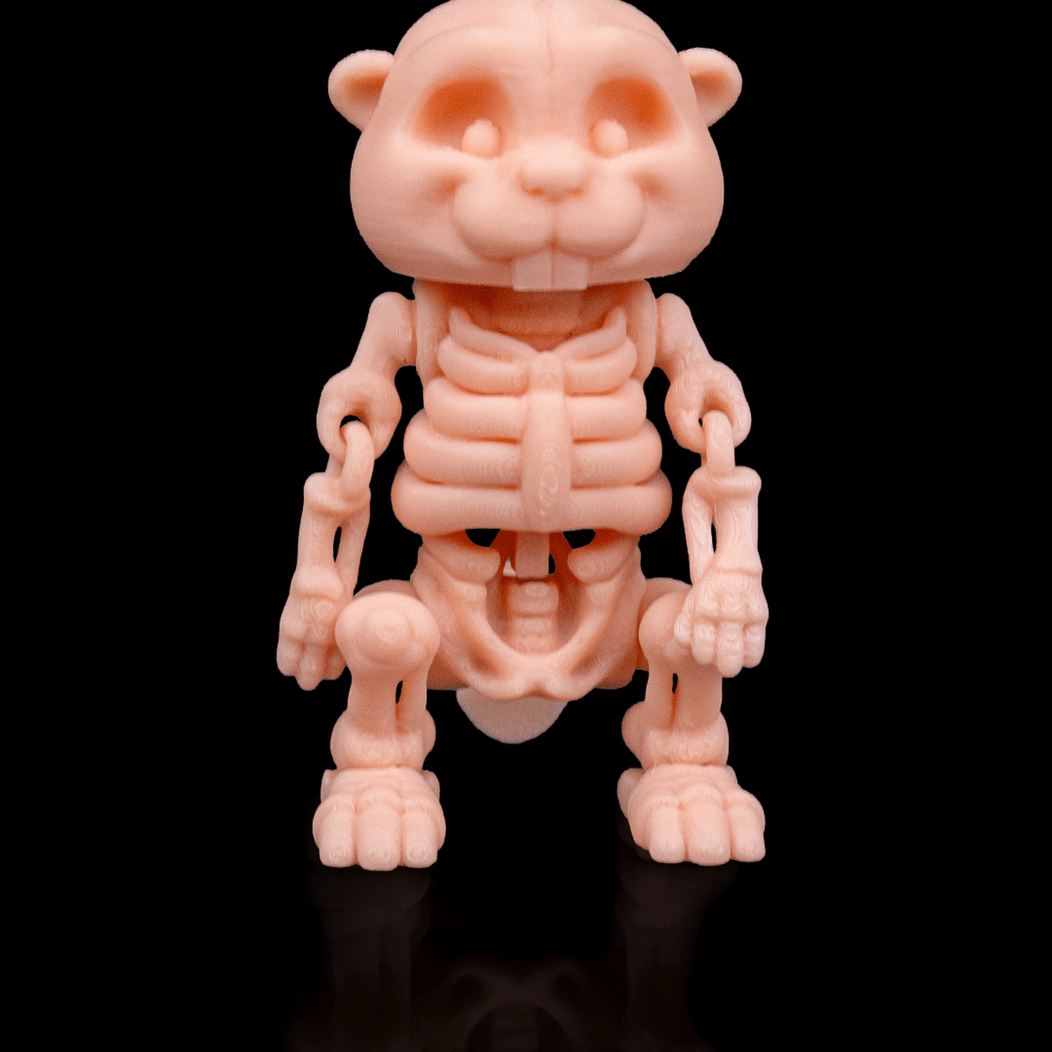 Skeleton Beaver
