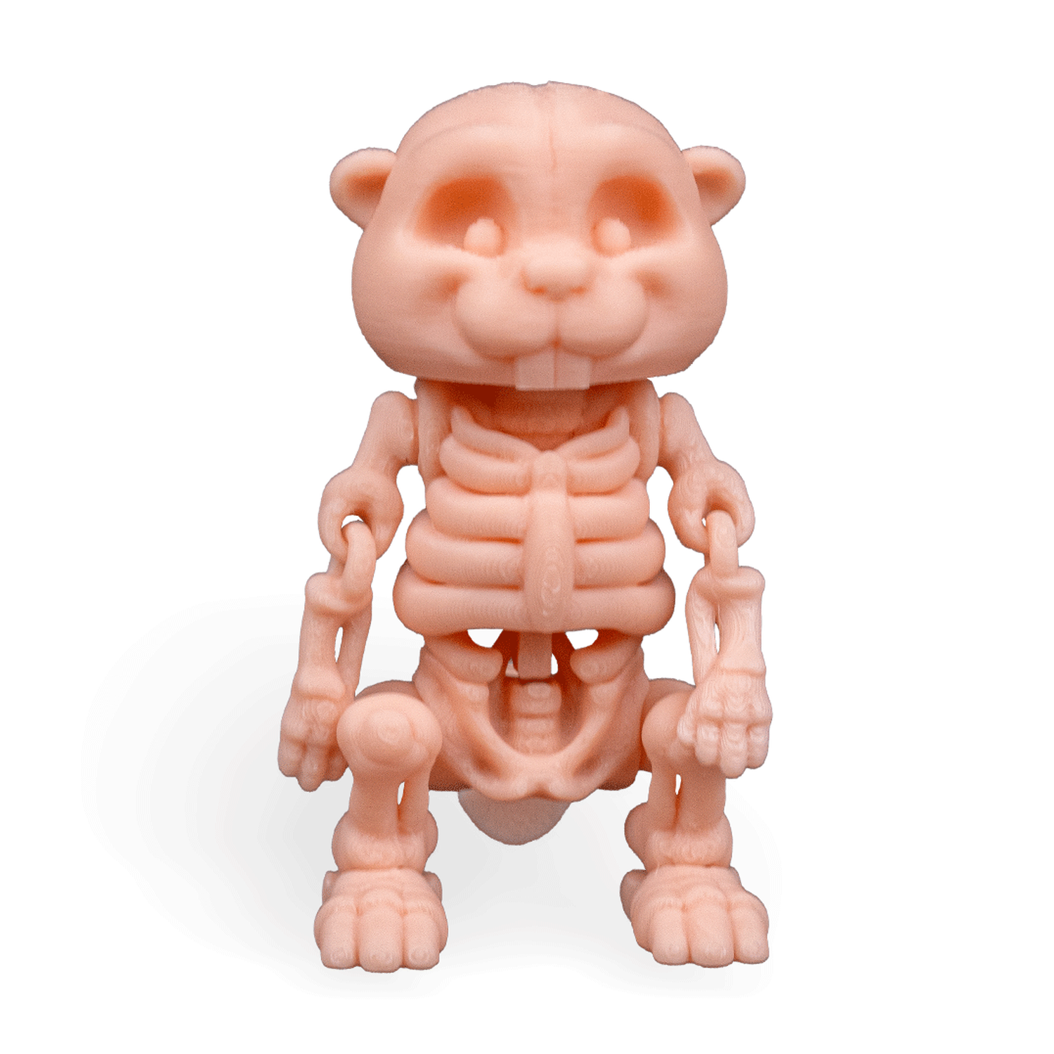 Skeleton Beaver