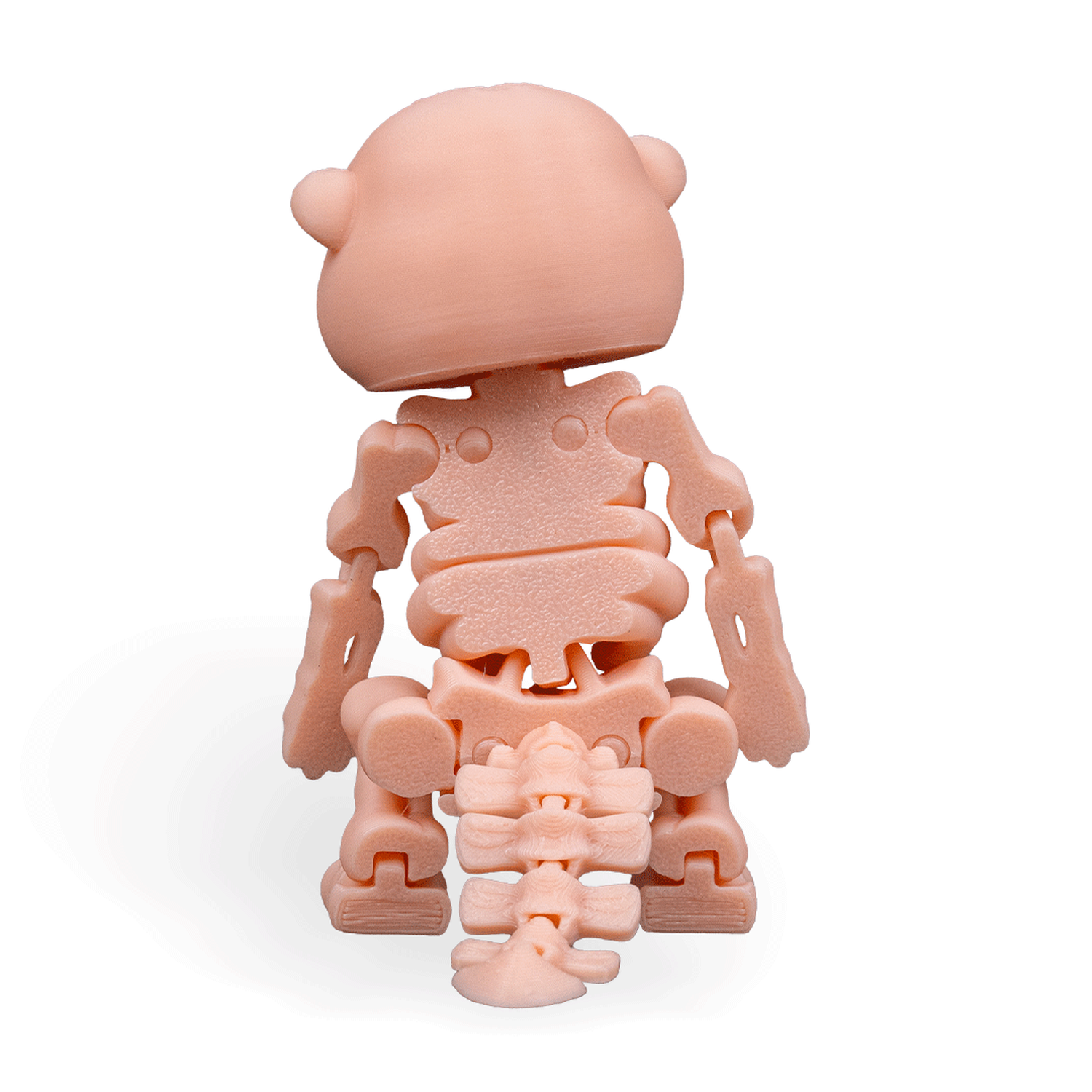 Skeleton Beaver