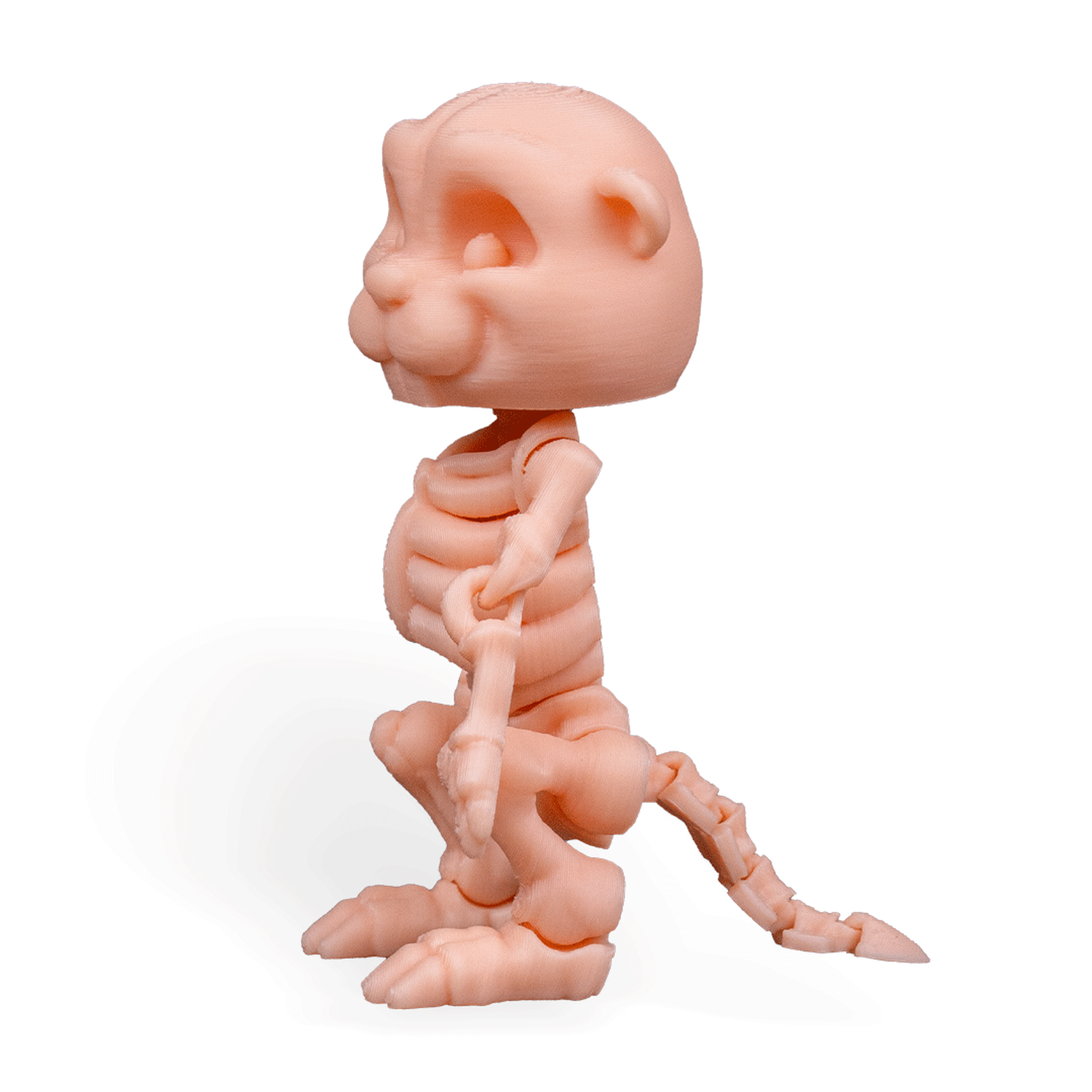 Skeleton Beaver