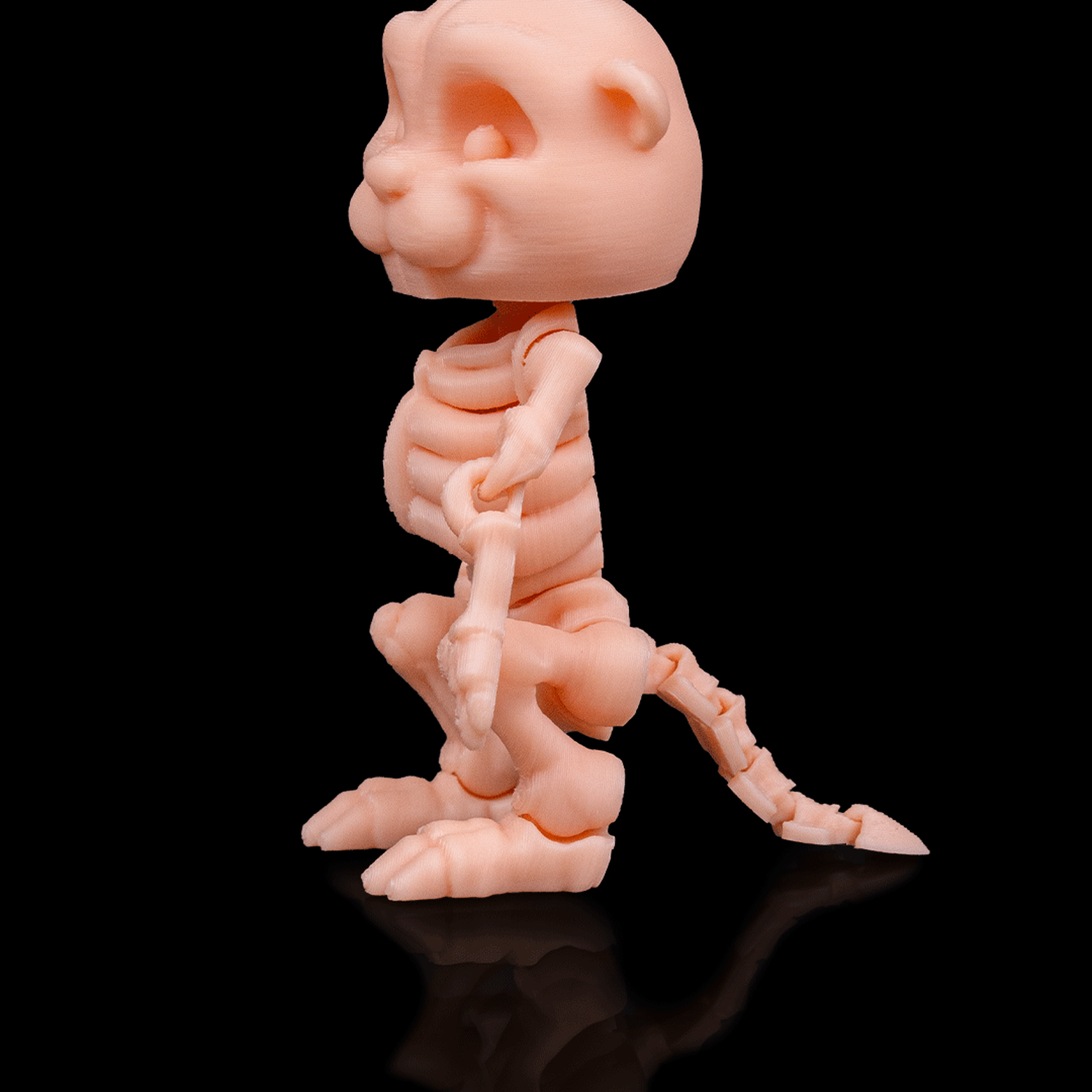 Skeleton Beaver