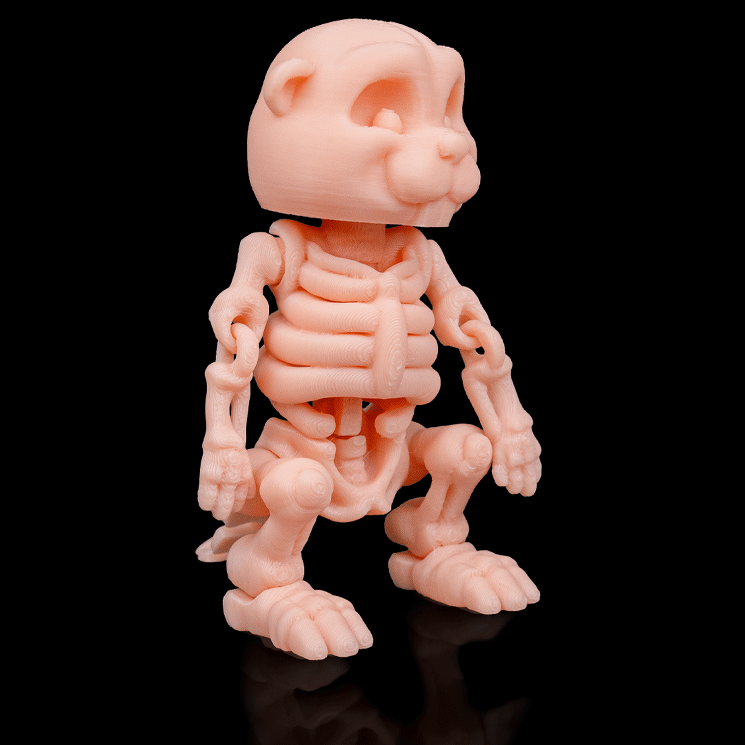 Skeleton Beaver