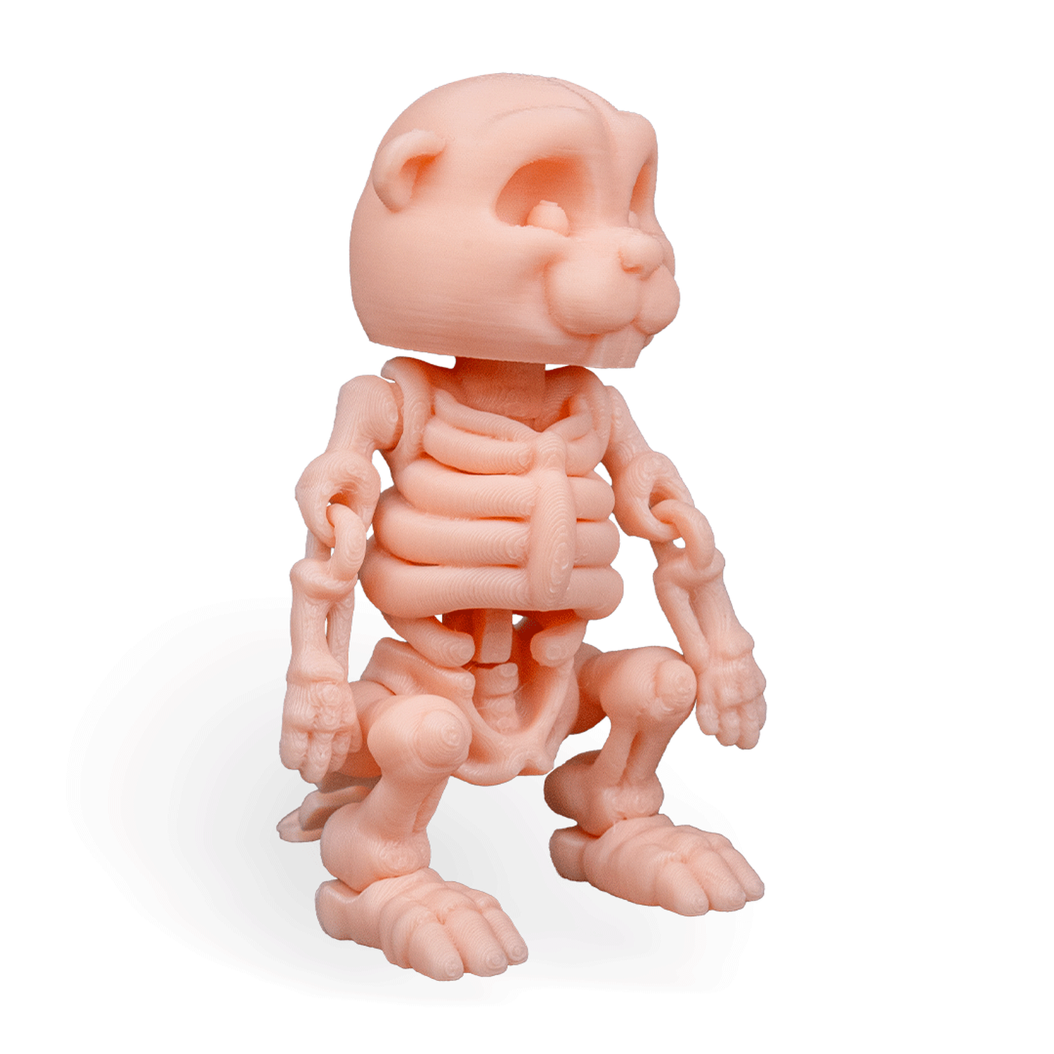 Skeleton Beaver