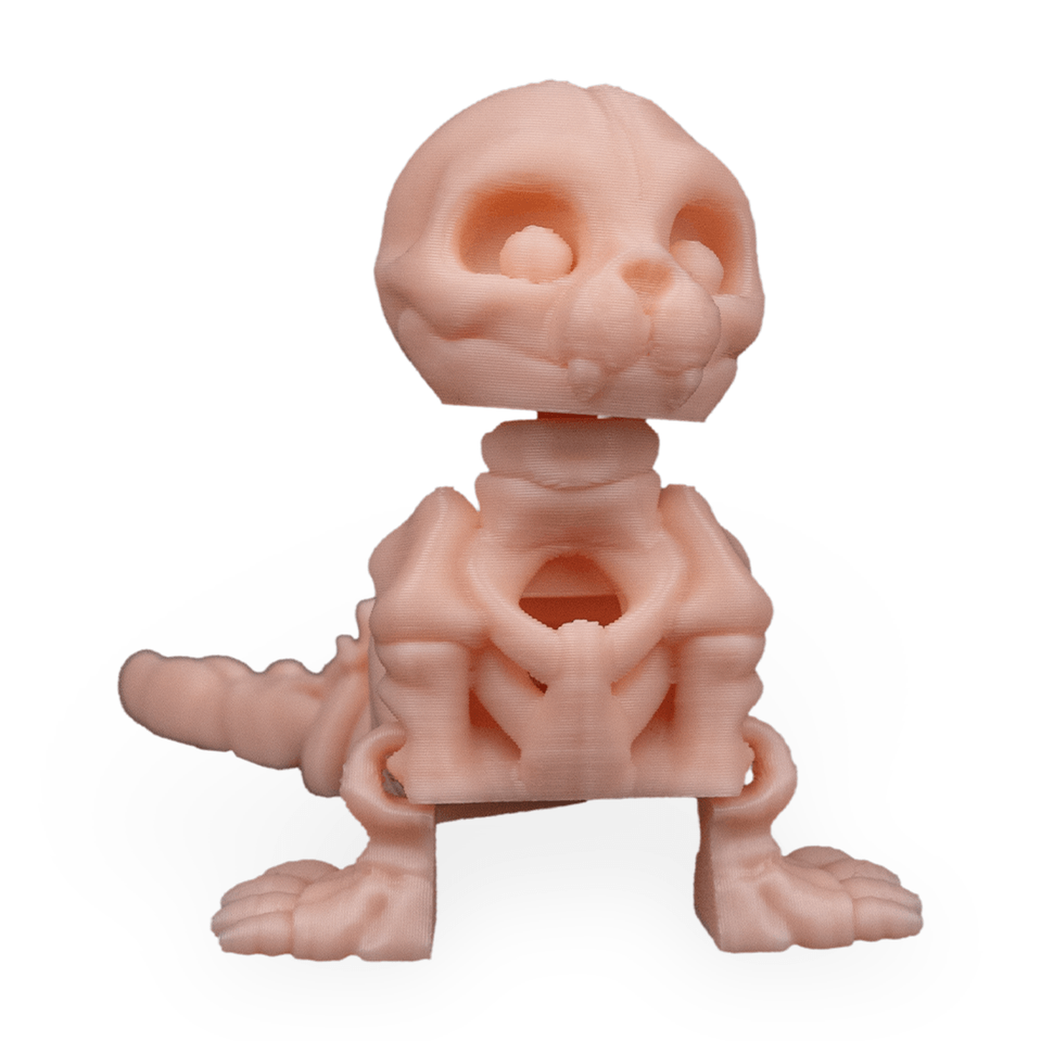 Skeleton Seal