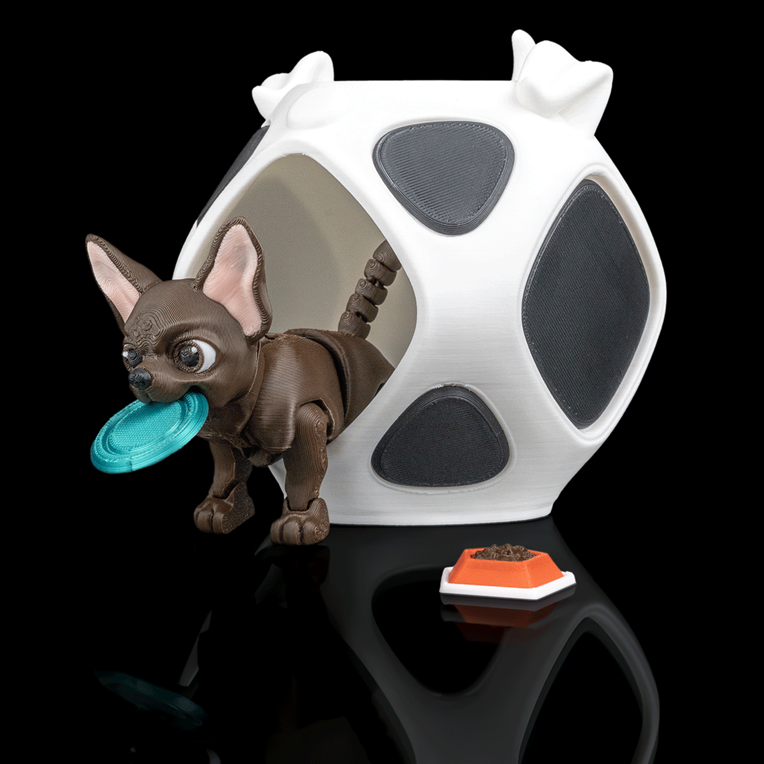 Lupe, the Chihuahua