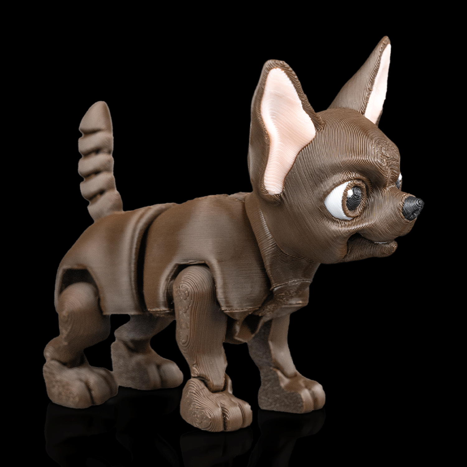 Lupe, the Chihuahua
