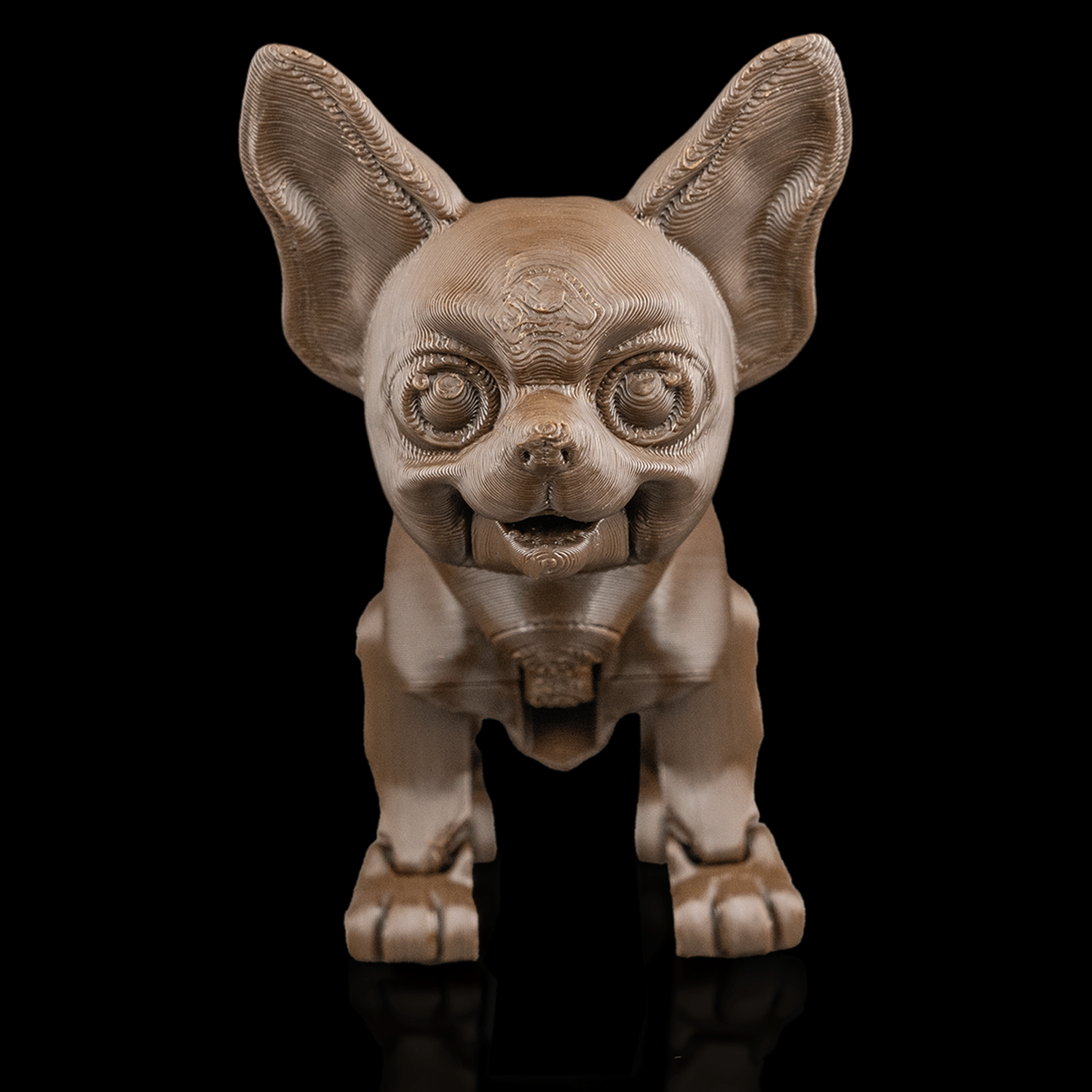 Lupe, the Chihuahua