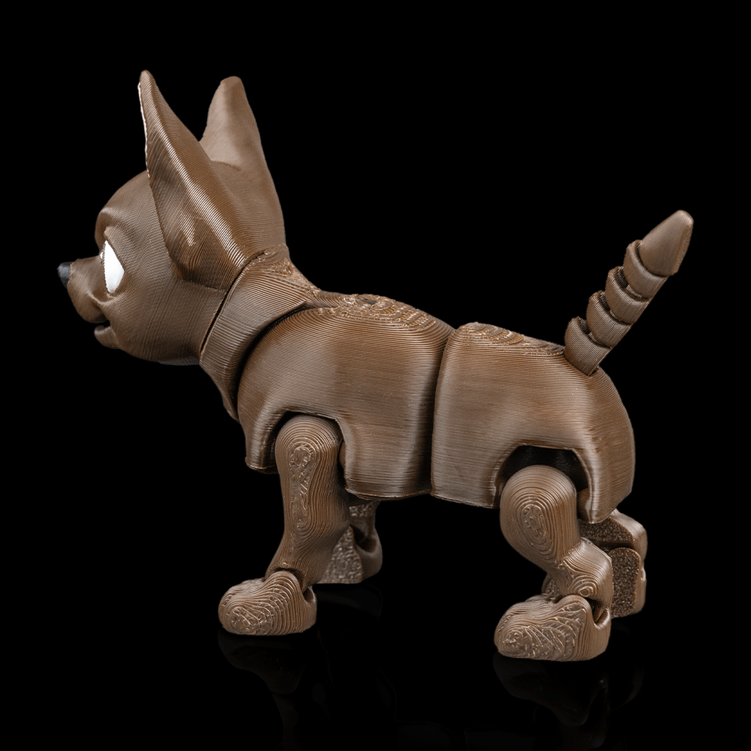 Lupe, the Chihuahua