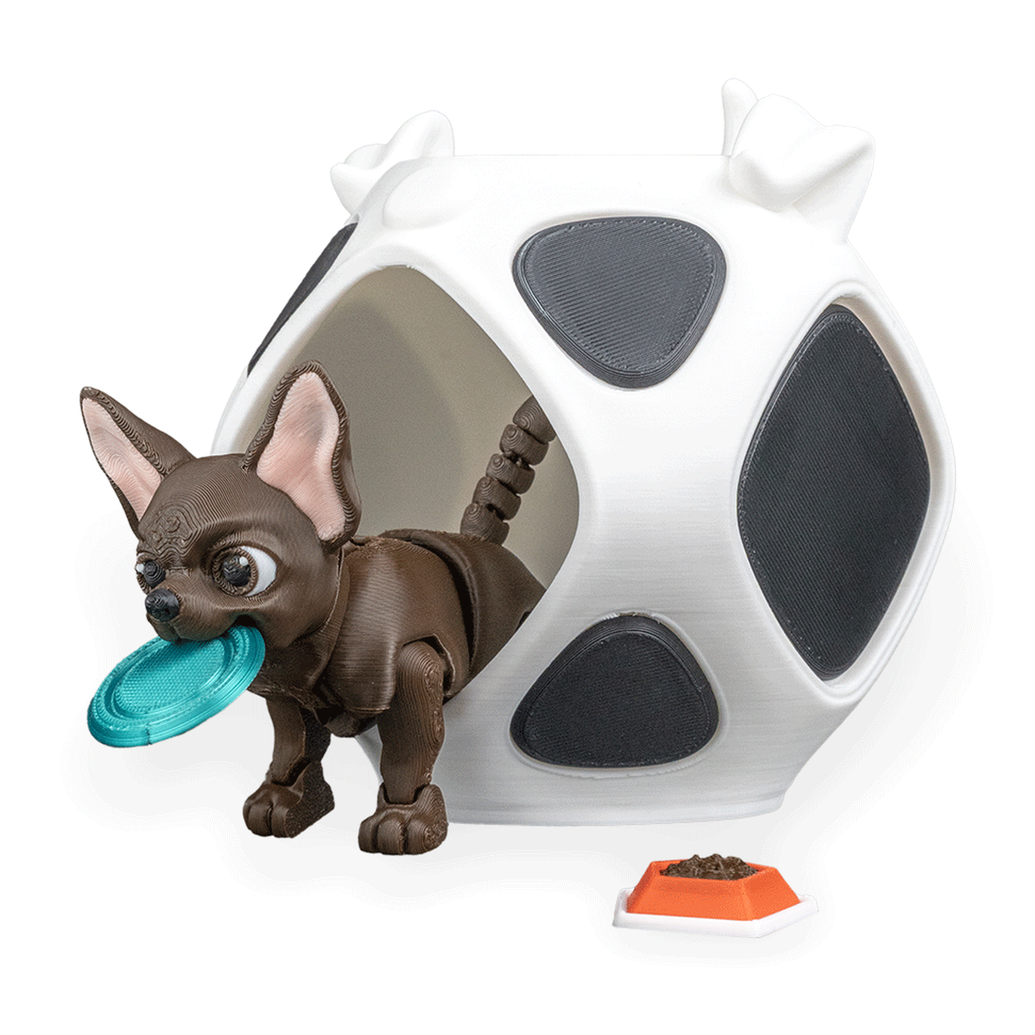 Lupe, the Chihuahua