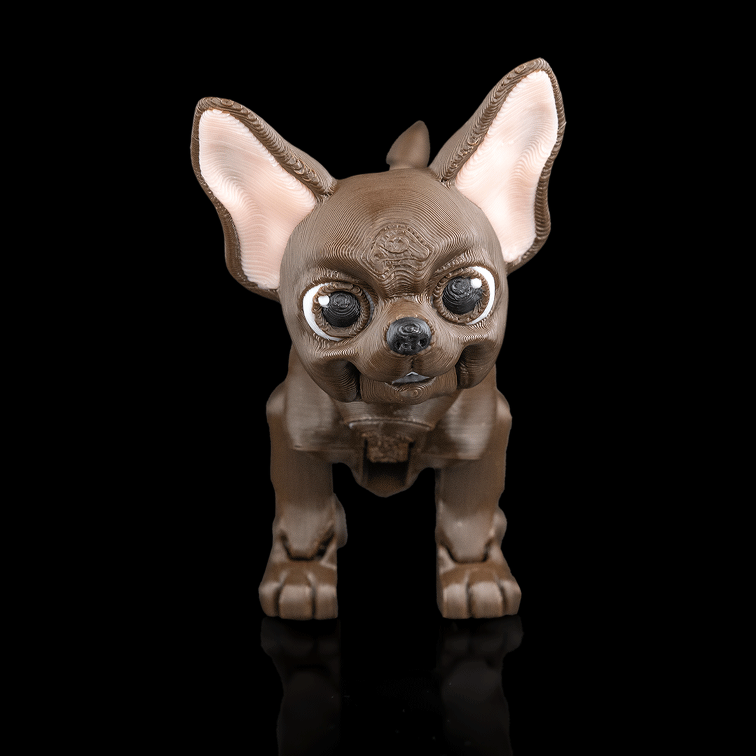 Lupe, the Chihuahua