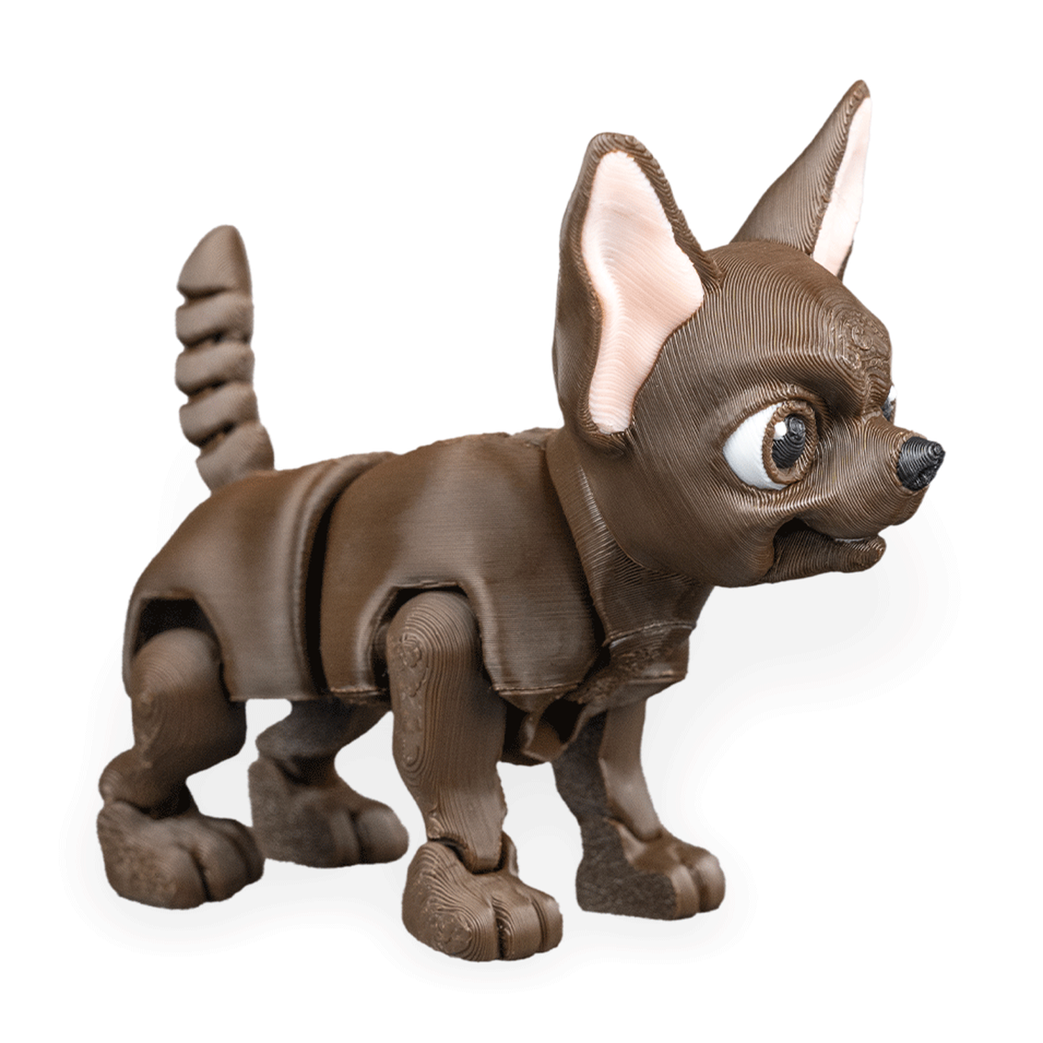 Lupe, the Chihuahua